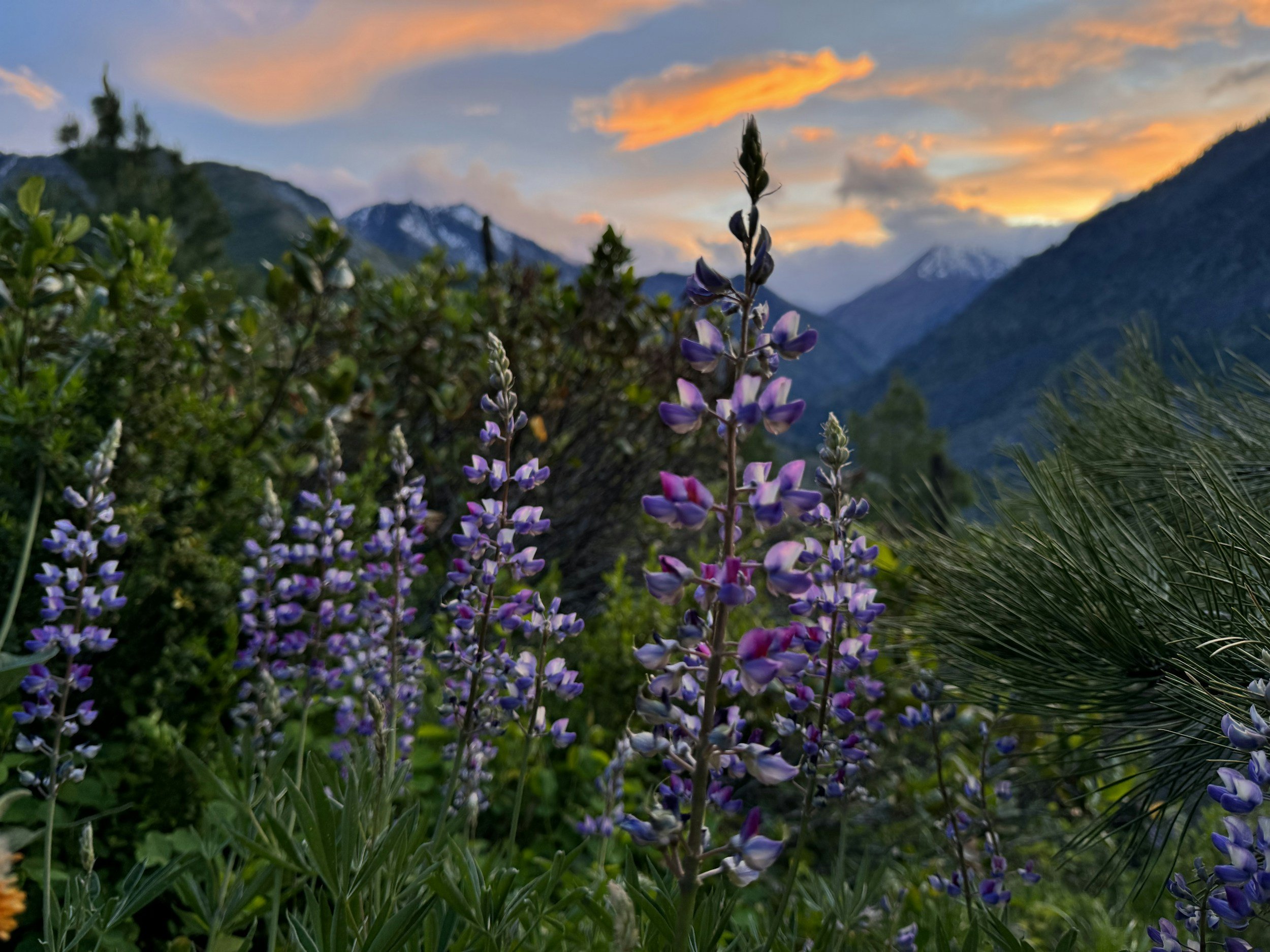 Finding Joy &amp; Purpose In Retirement (April 2026)
