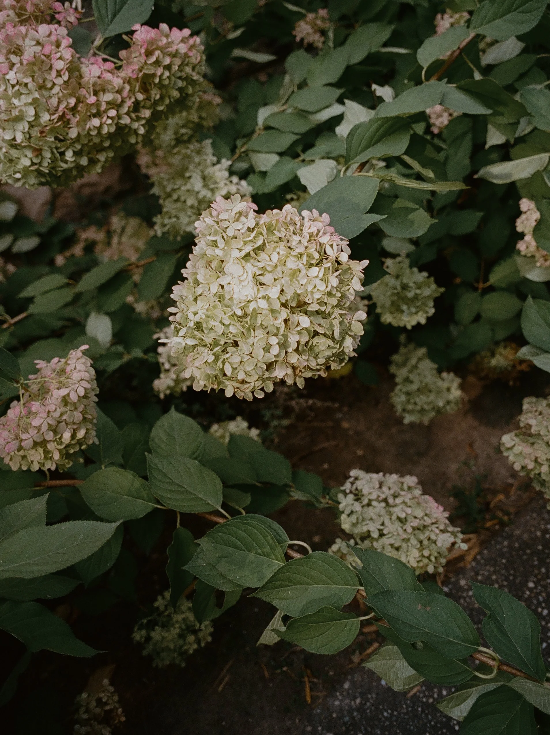 MBP-Palm Springs-0008.jpg