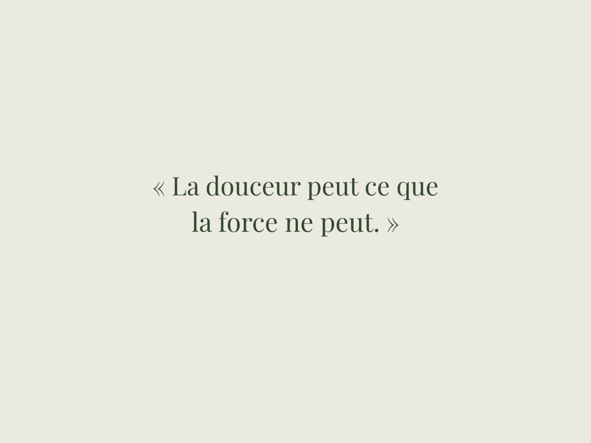 Citation du jour 
