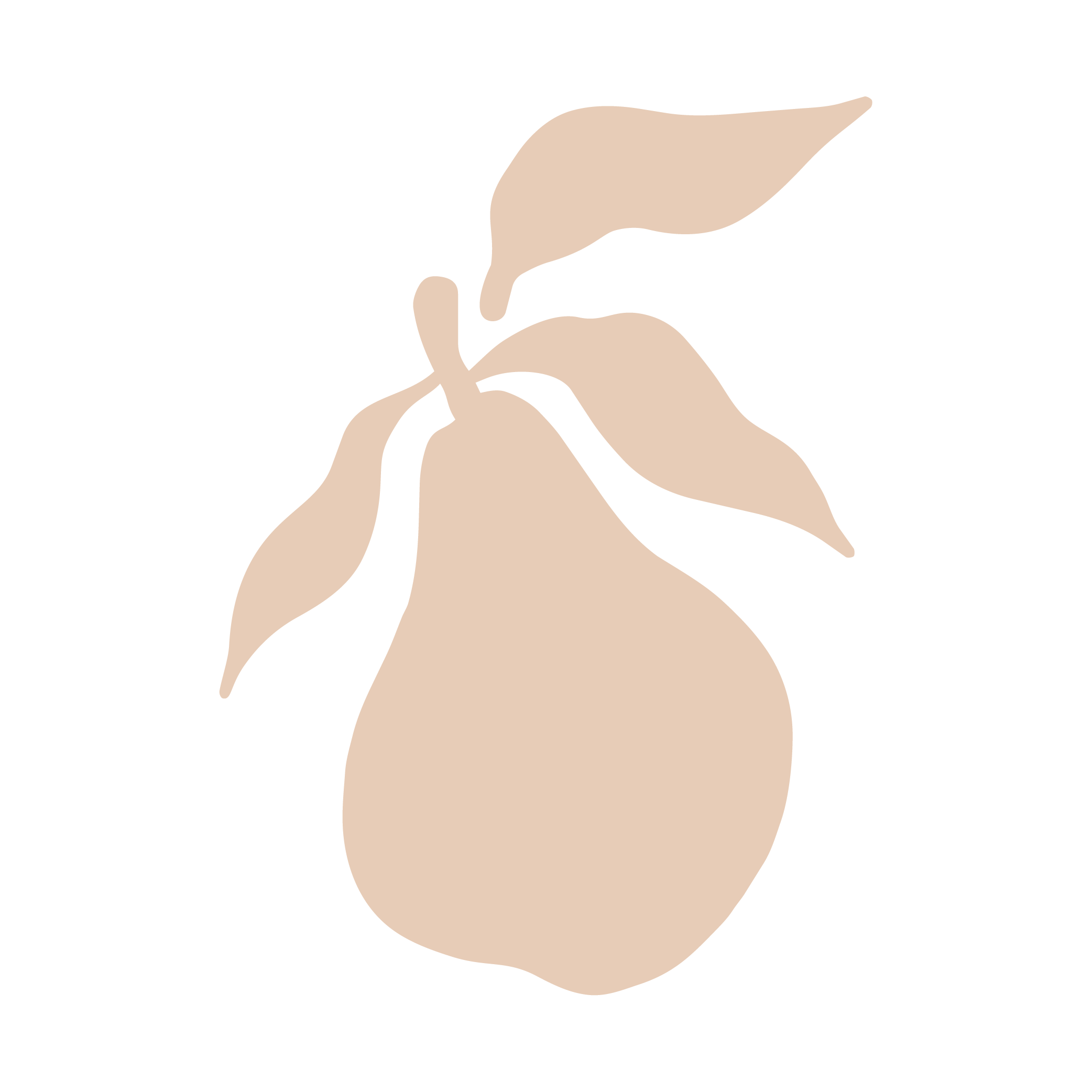 Une approche consciente