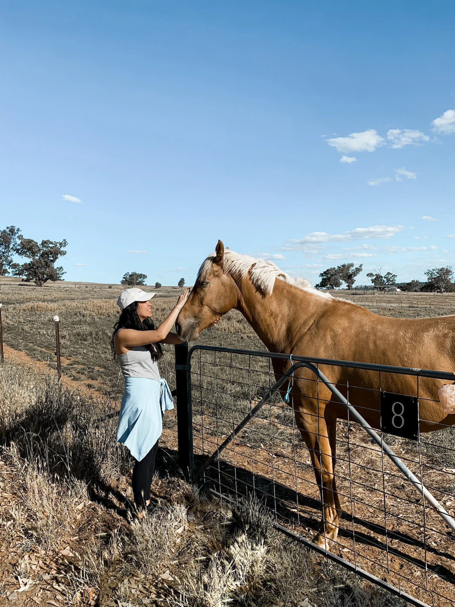5 Jacquii Frank Belisi Farmstay.jpg