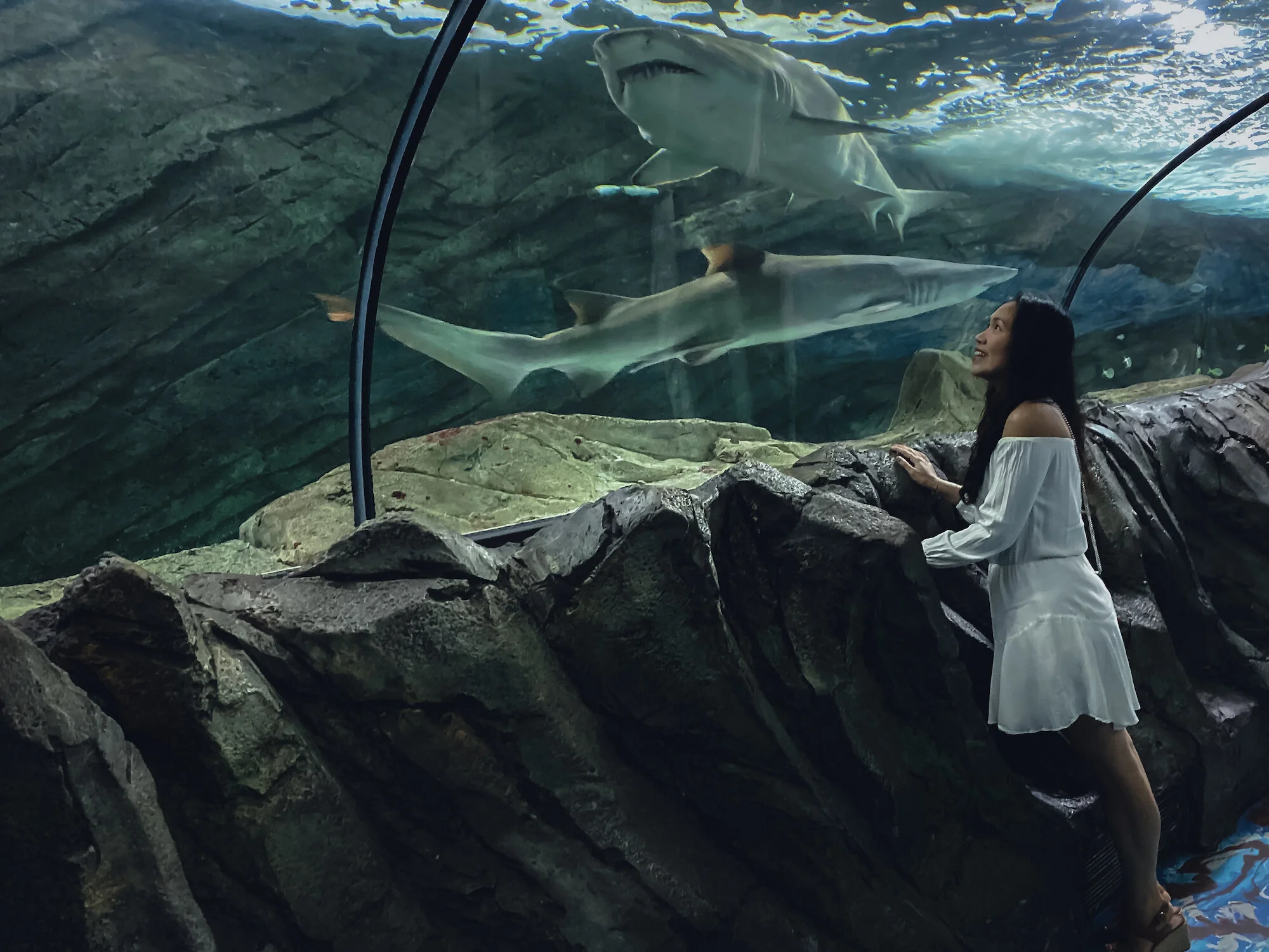 2 Private Dining Sydney Sealife Aquarium Jacquii Frank.jpg