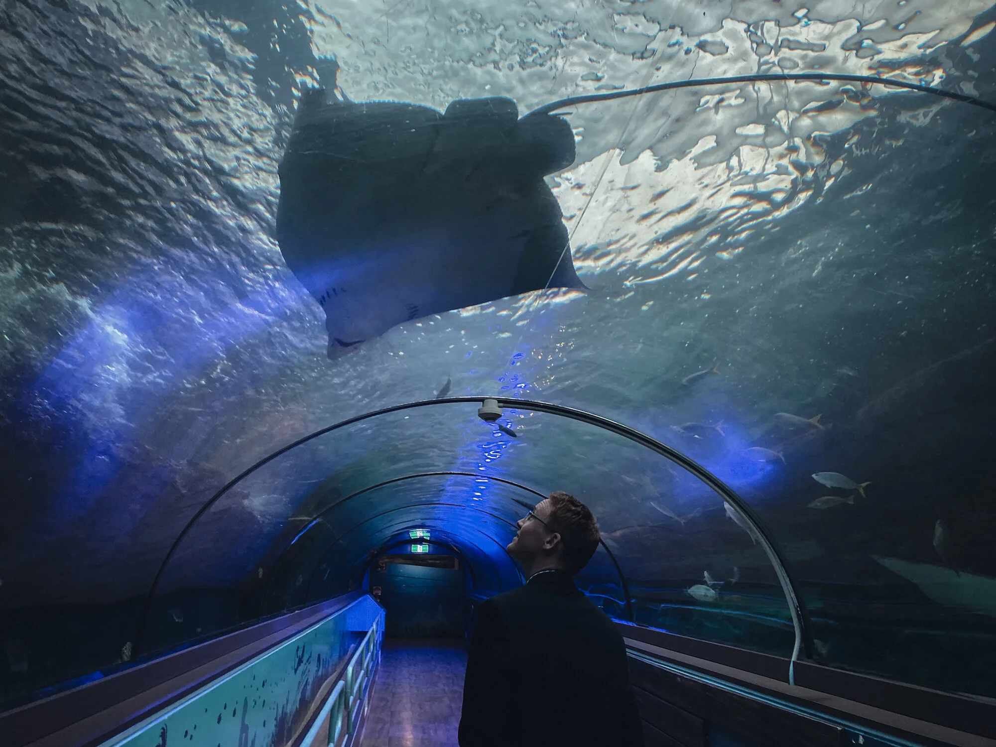 5 Private Dining Sydney Sealife Aquarium Jacquii Frank.jpg