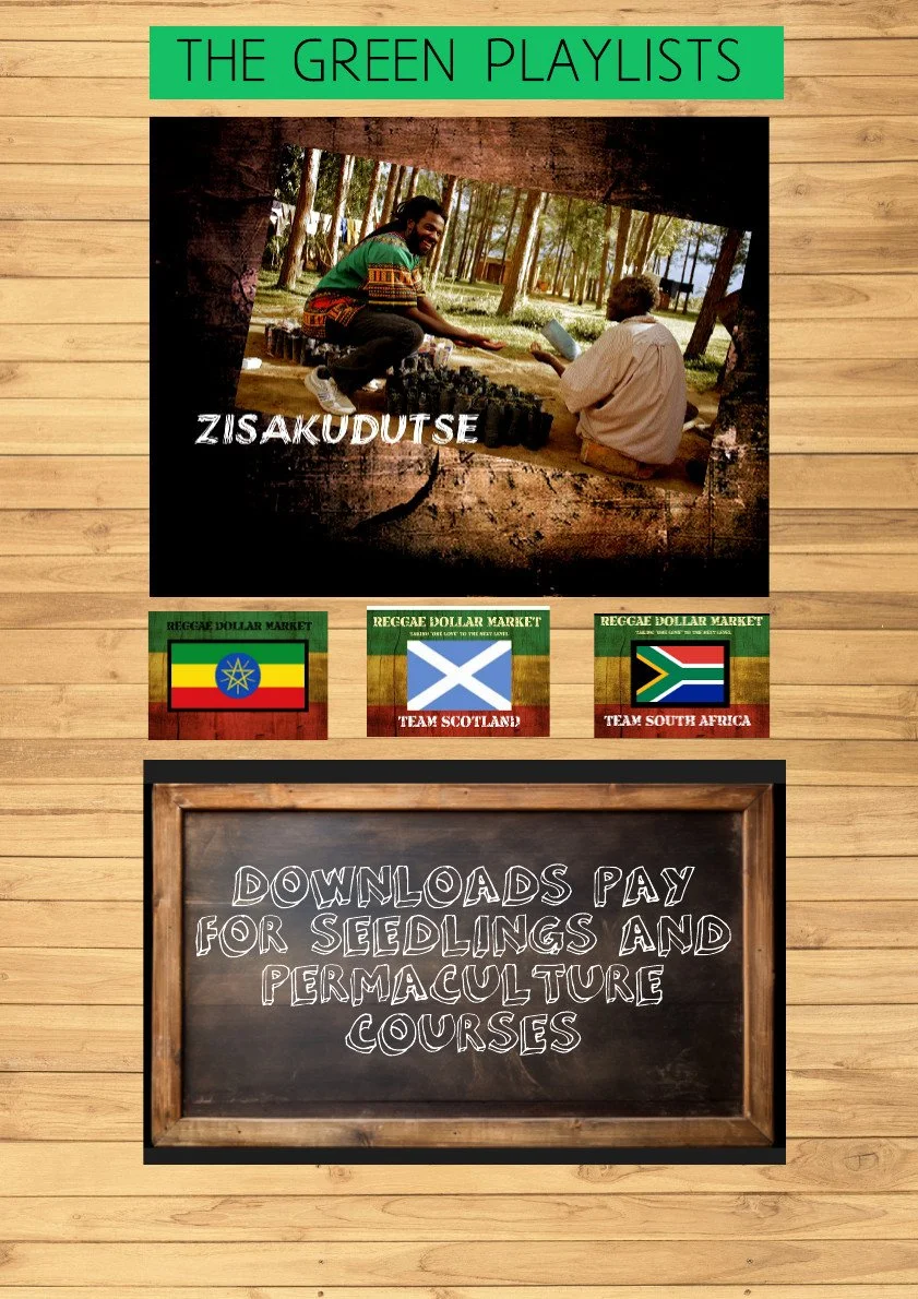 KNYSNA SOUP KITCHEN - Untitled Page - 2025-12-23T083349.015.jpeg