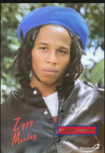 Ziggy.jpg