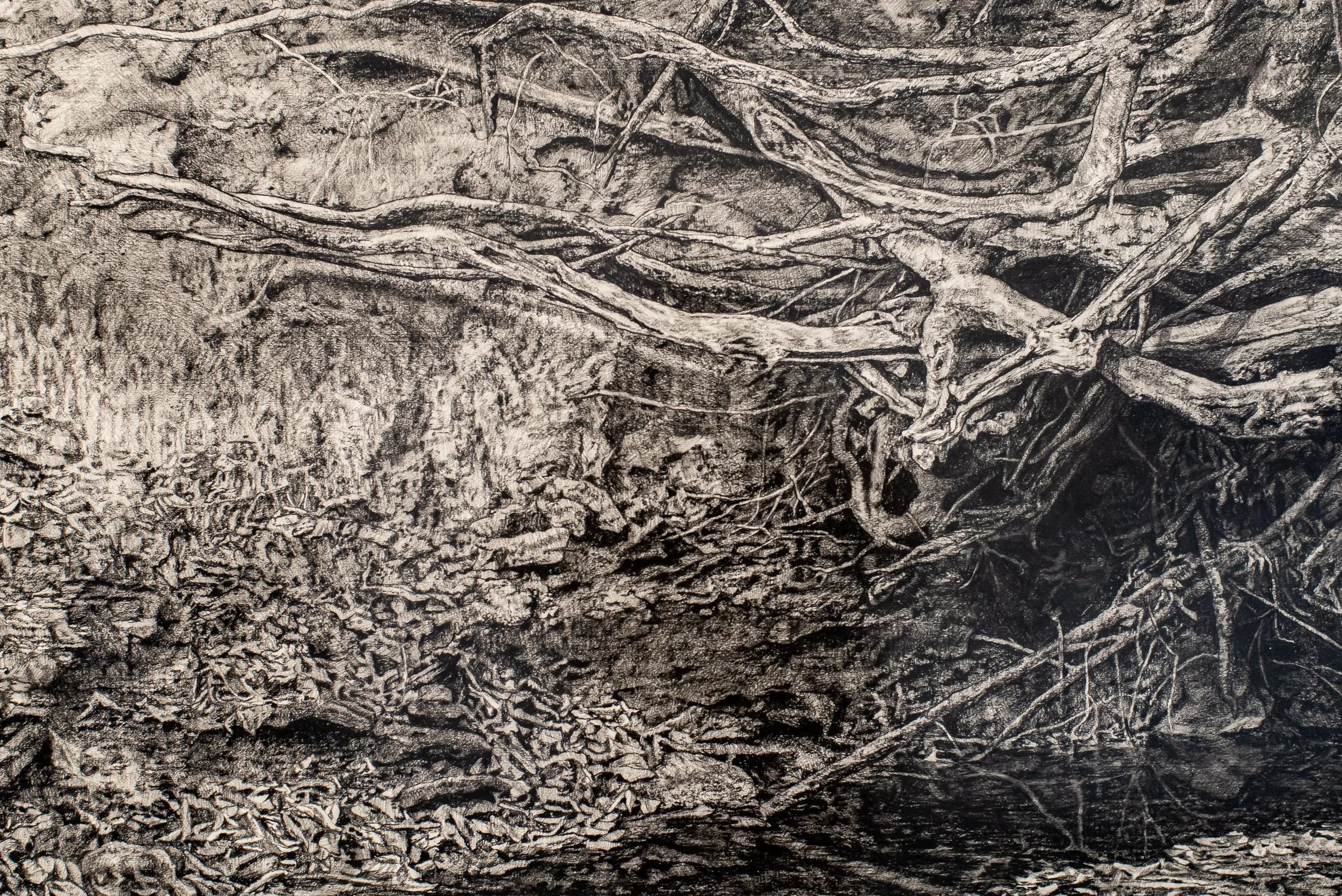 "Cromwell" | Ann Margaret Morris