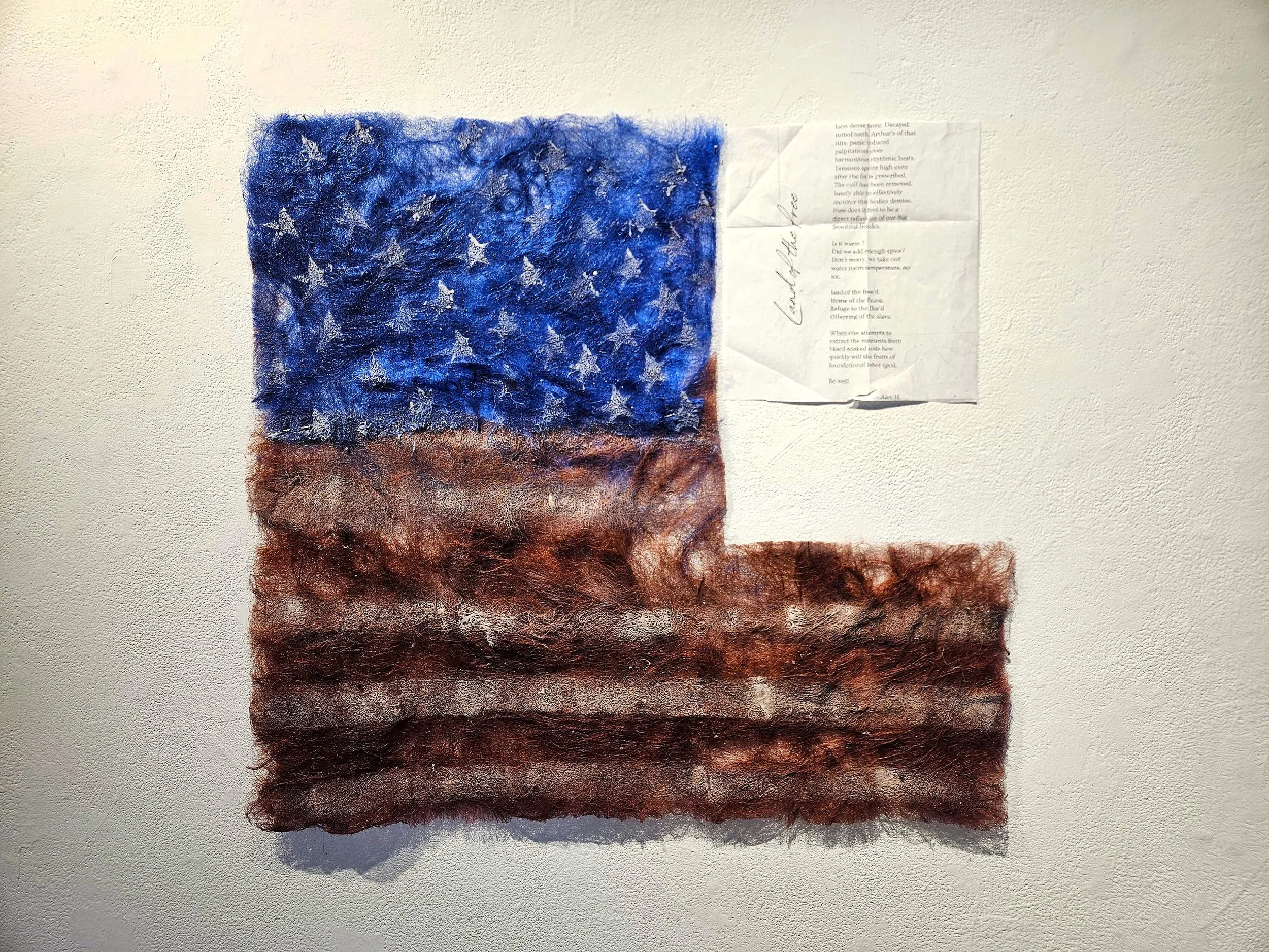 "Floop is a mad man, help us save us  Featuring the poem titled "Land of the free" " | Ajee Hassan