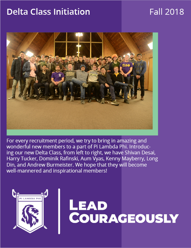 plp_newsletter3.png