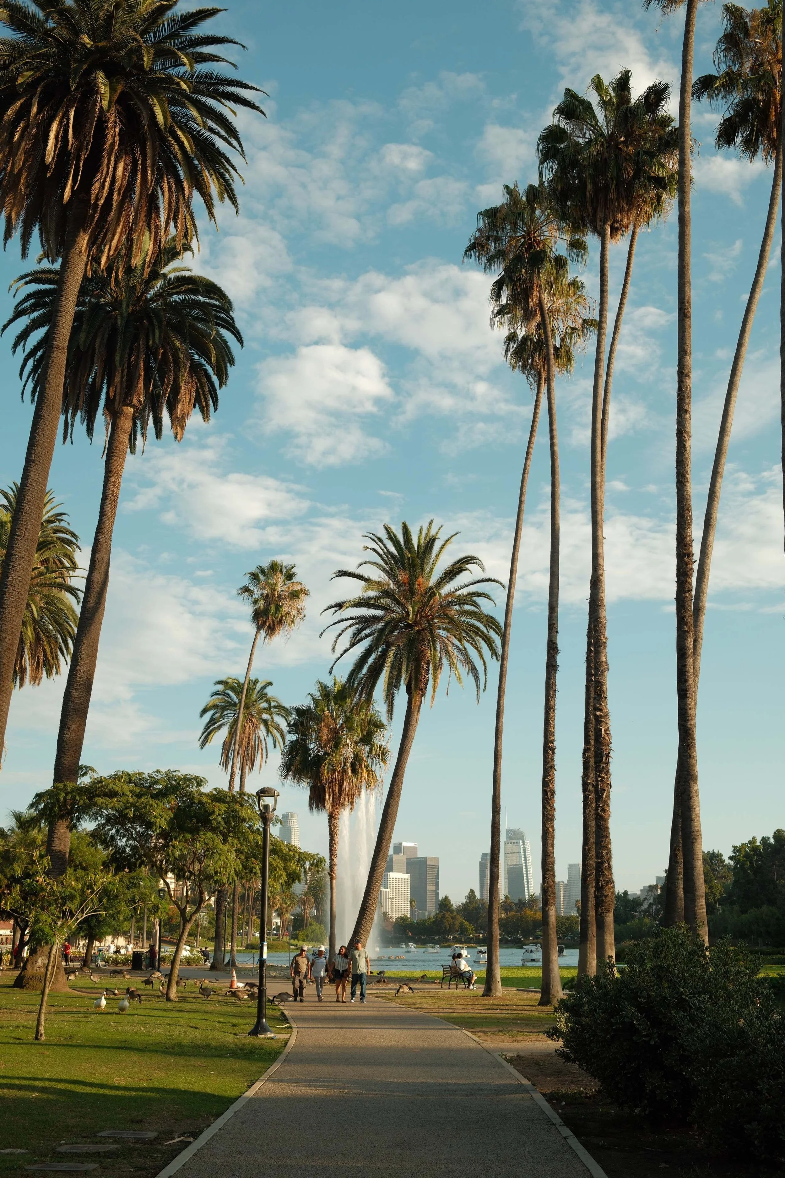 A park scene in a city with a walkway, tall palm trees, and people walking and sitting. There is a body of water with boats, and a city skyline with high-rise buildings in the background.