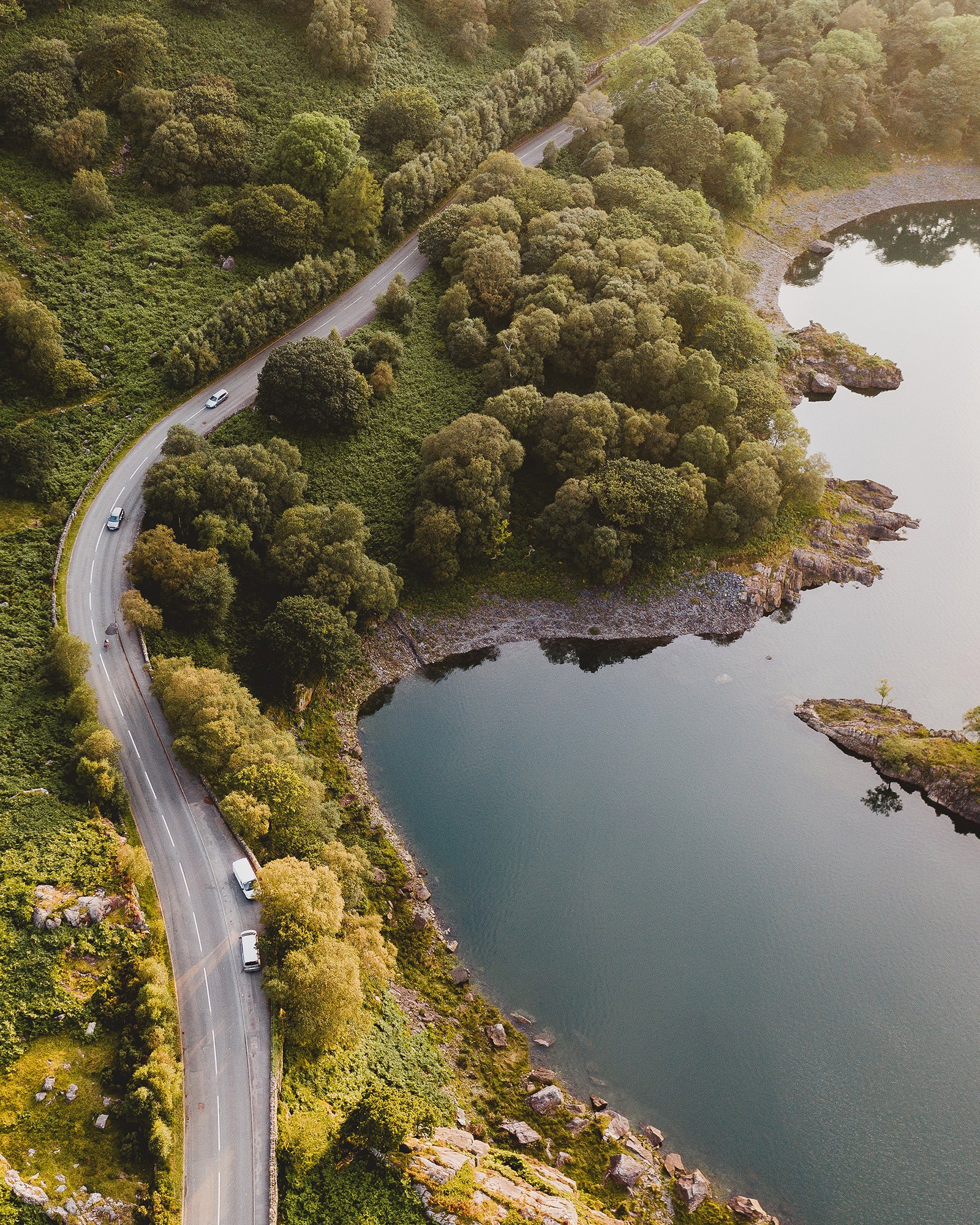 Aerial view of road with trees and lake