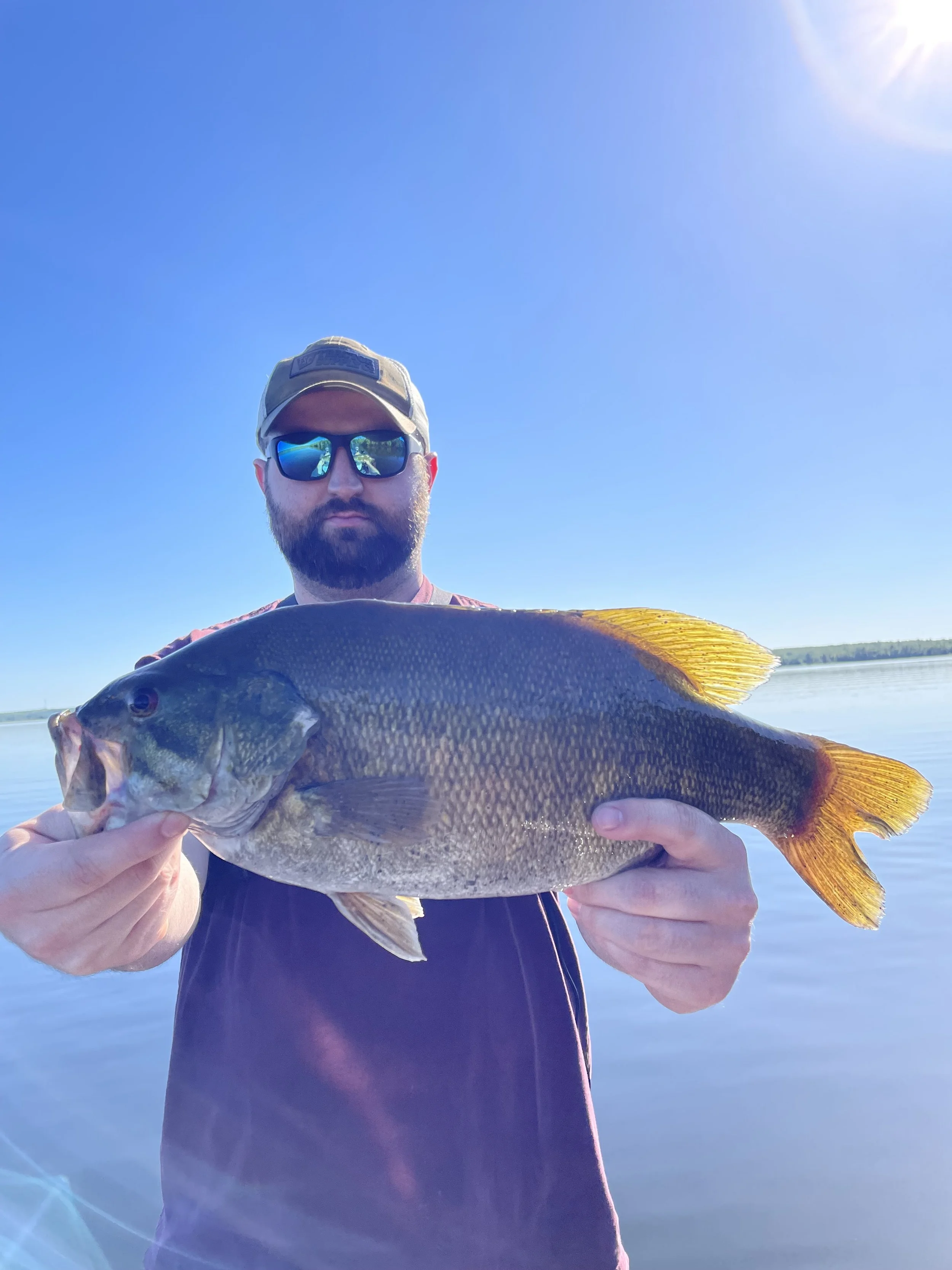 Person holding a large fish outdoors under a clear blue sky.