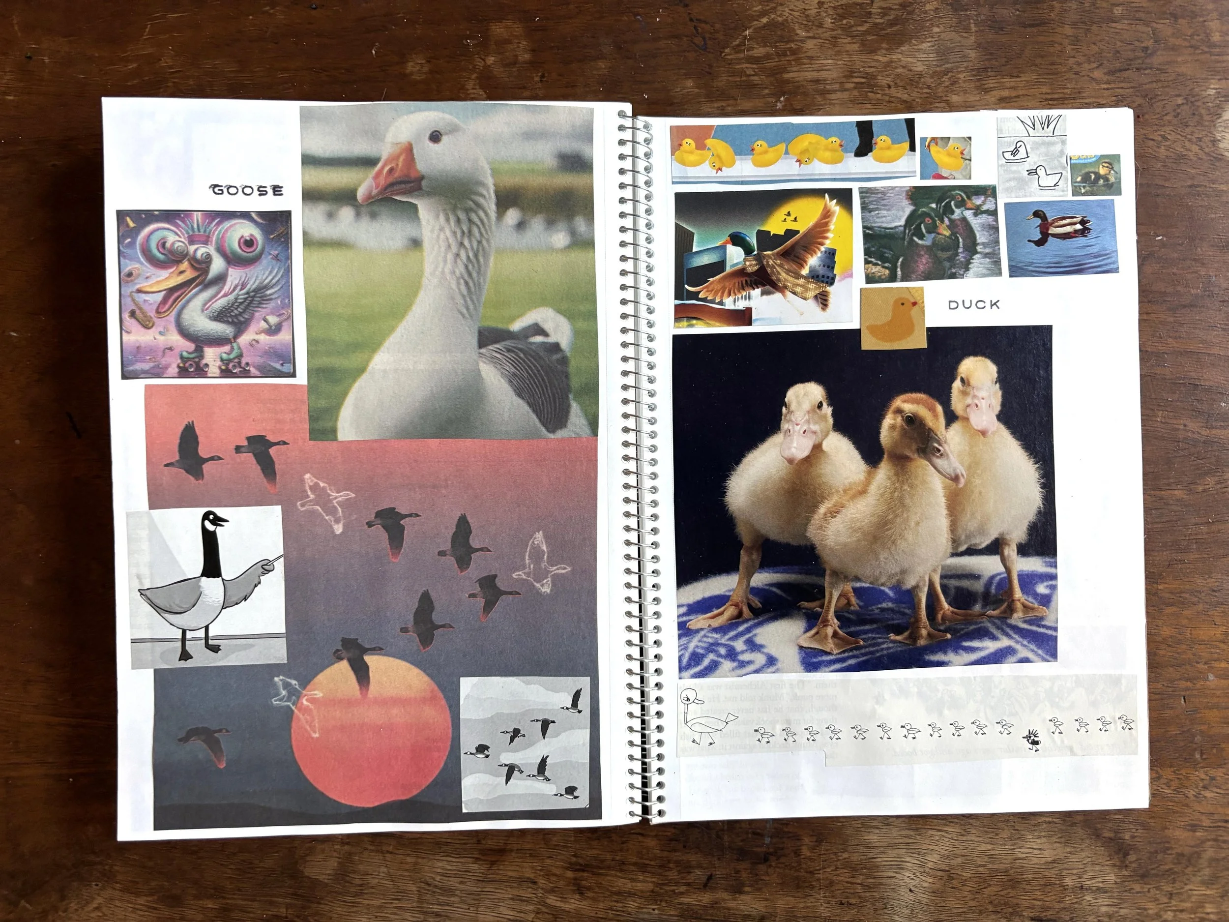 Animal Book for Oren, 2026