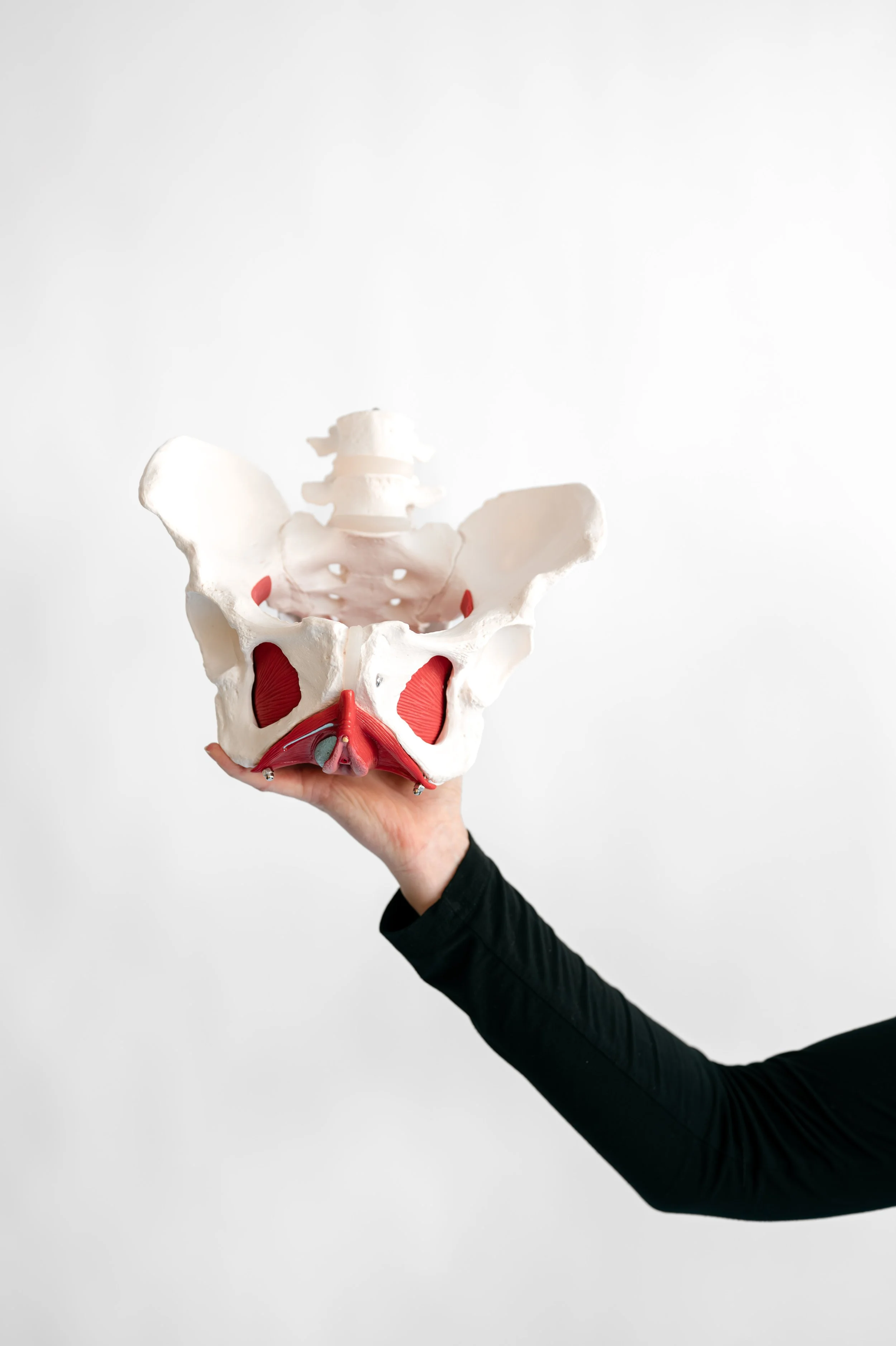 How to Choose the Right Physical Therapy Provider in Haverhill