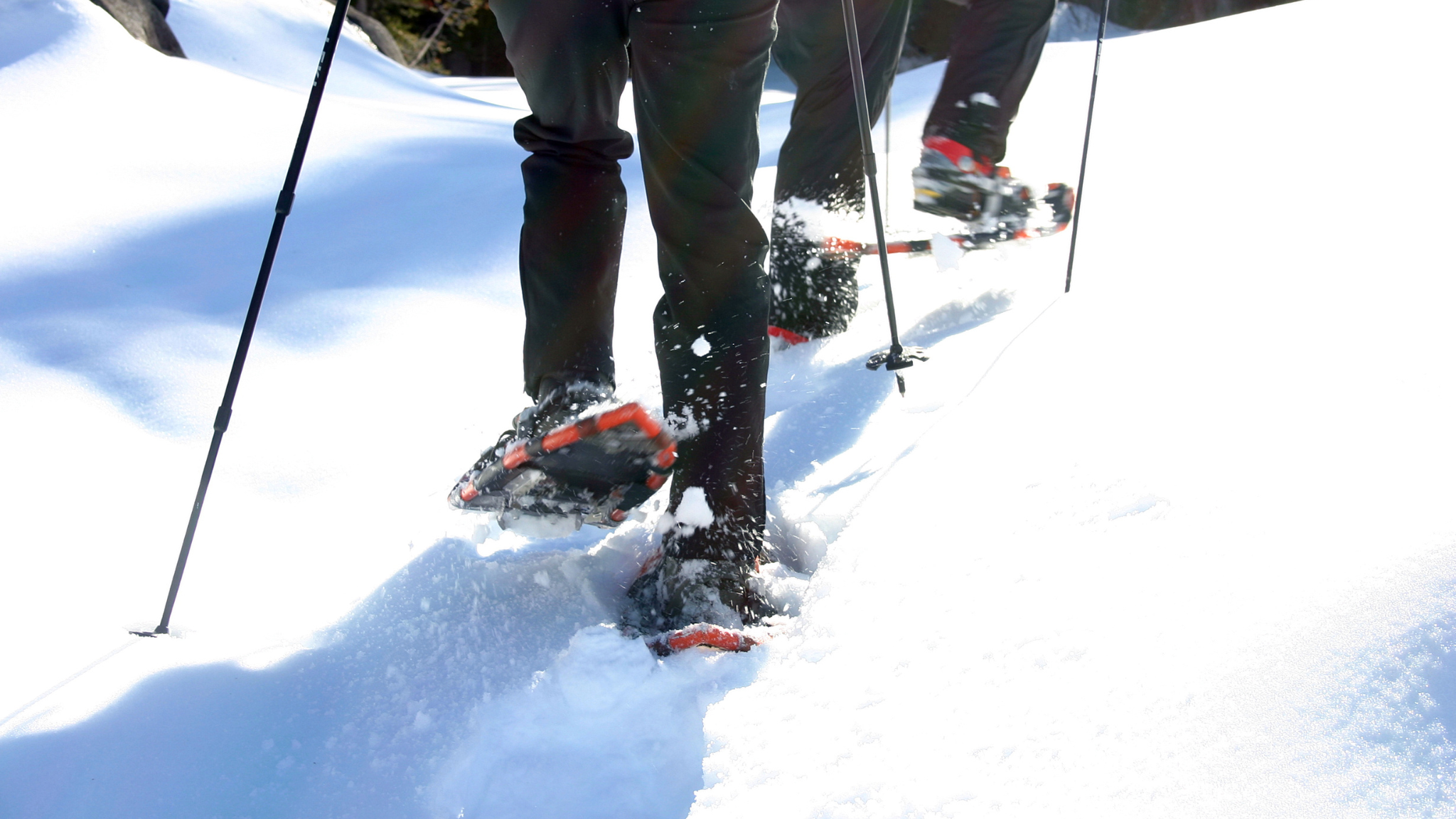 Your Guide to Snow Sport Recovery: Move Better, Hurt Less