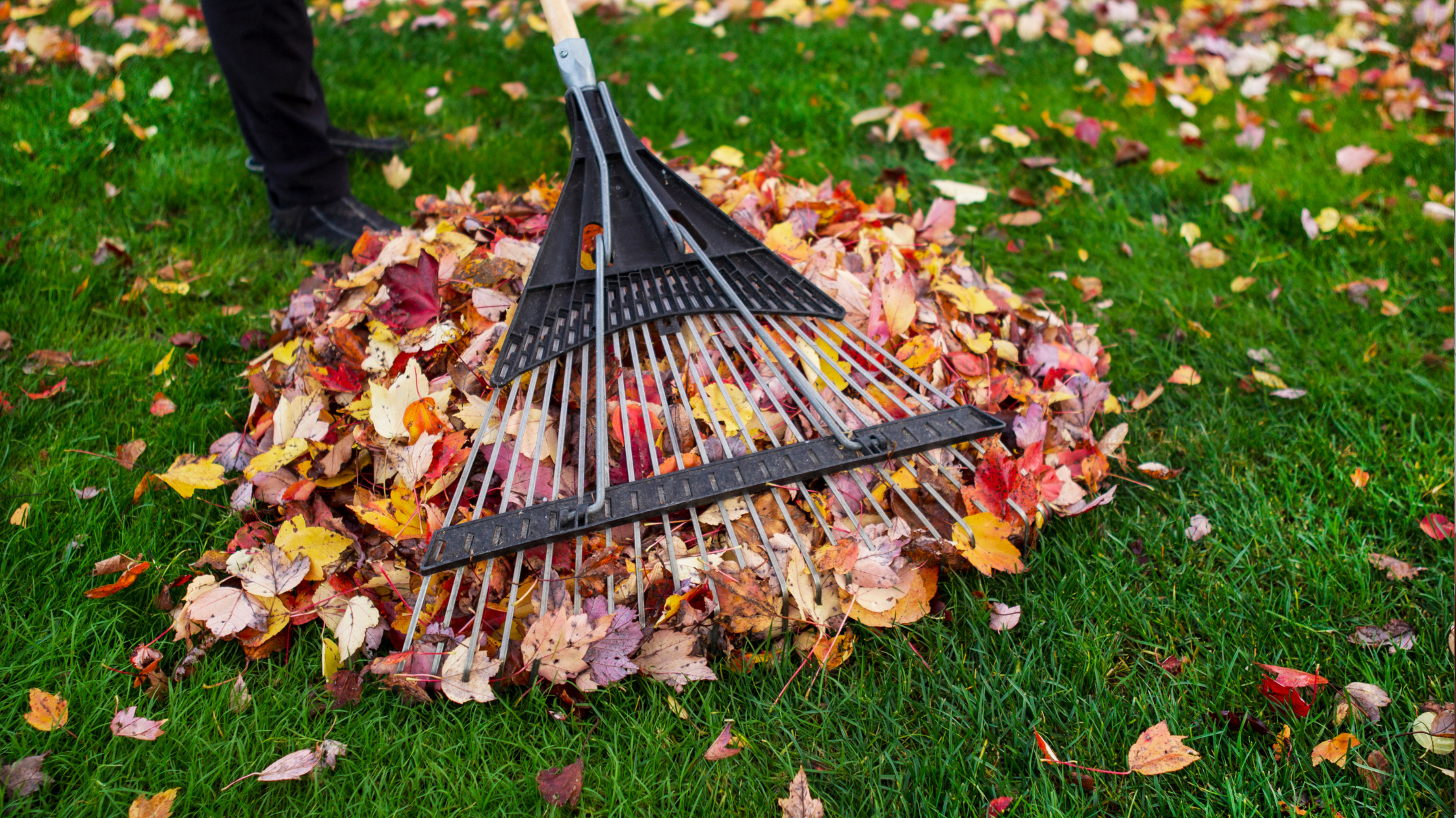 Fall Yard Work Starts Here: 6 Exercises to Prep Your Body