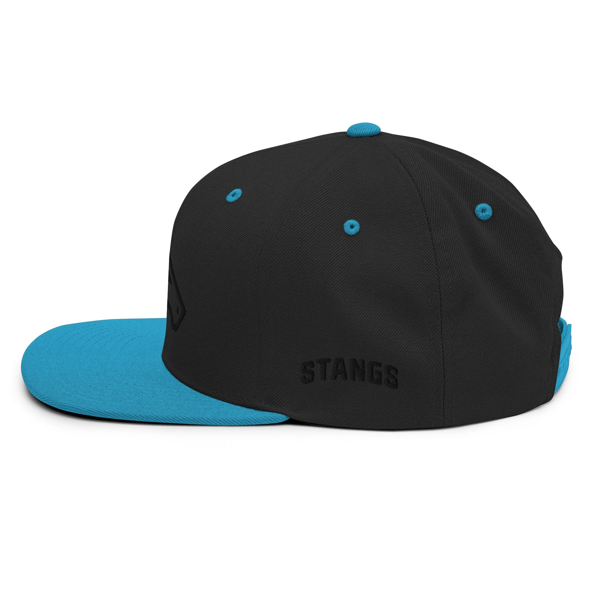 classic-snapback-black-teal-left-side-6392032bcc697.jpg