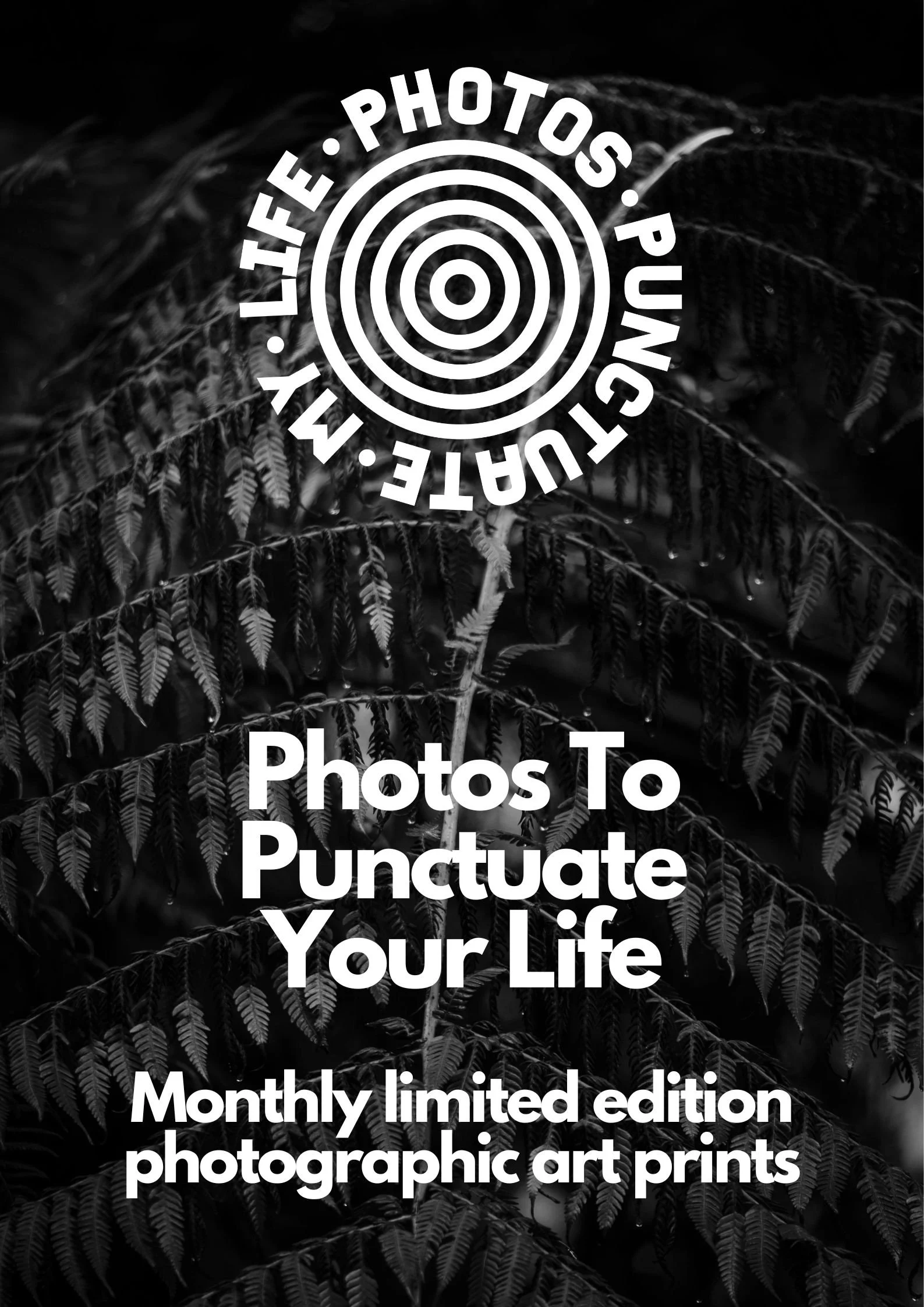 Photos To Punctuate Your Life Print Subscriptions
