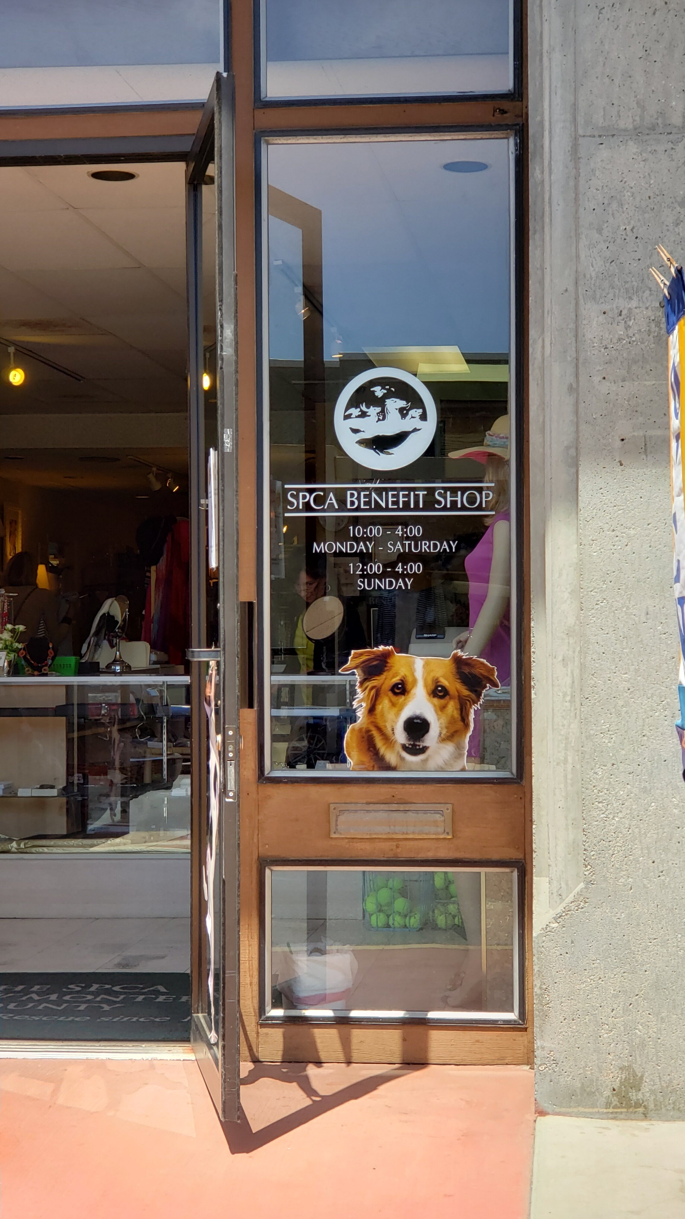 SPCA benefit shop window pic.jpg