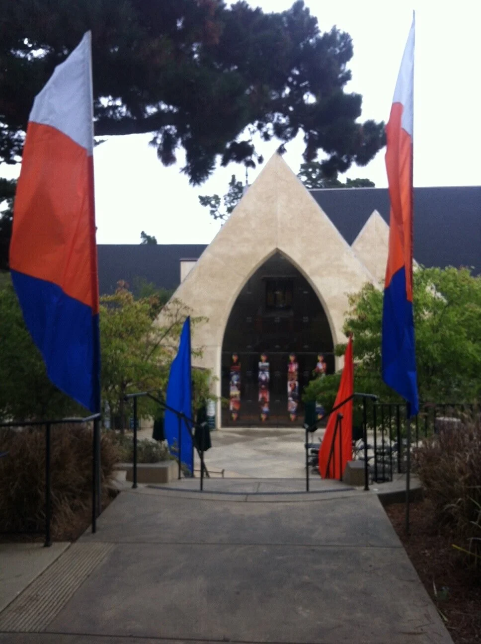 flutter at authors.JPG