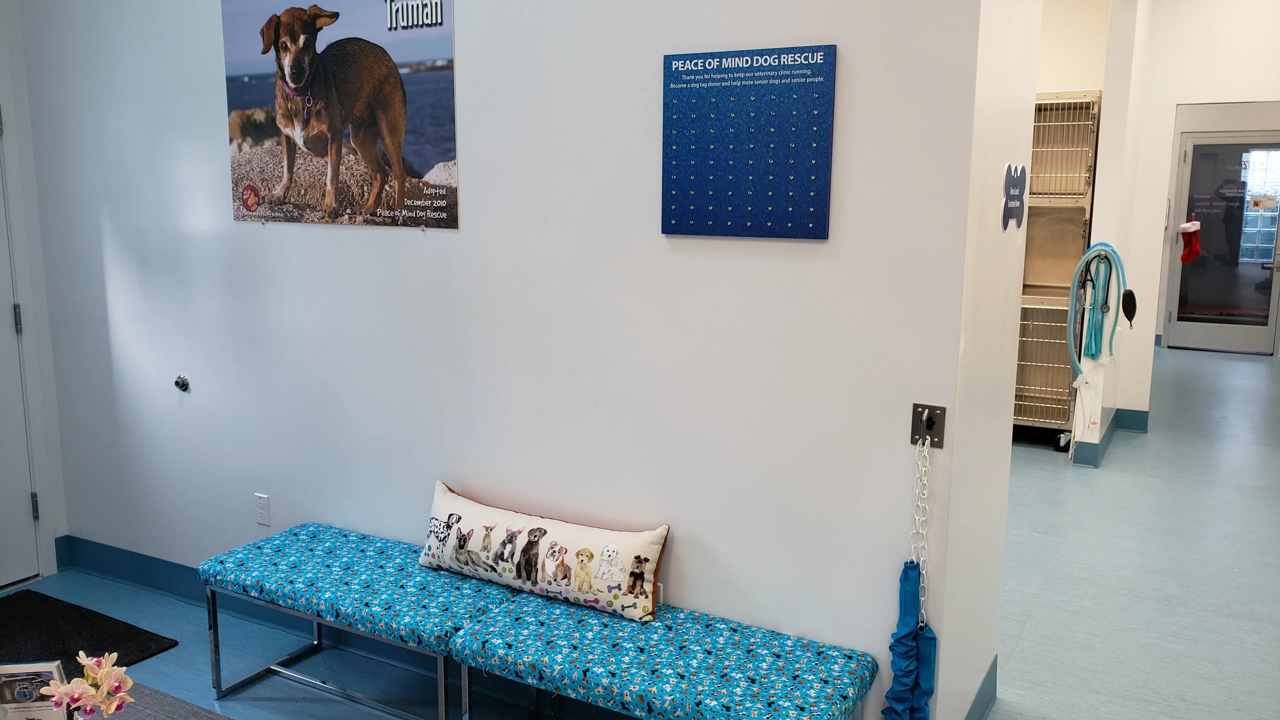 dog tag board mounted in clinic.jpg