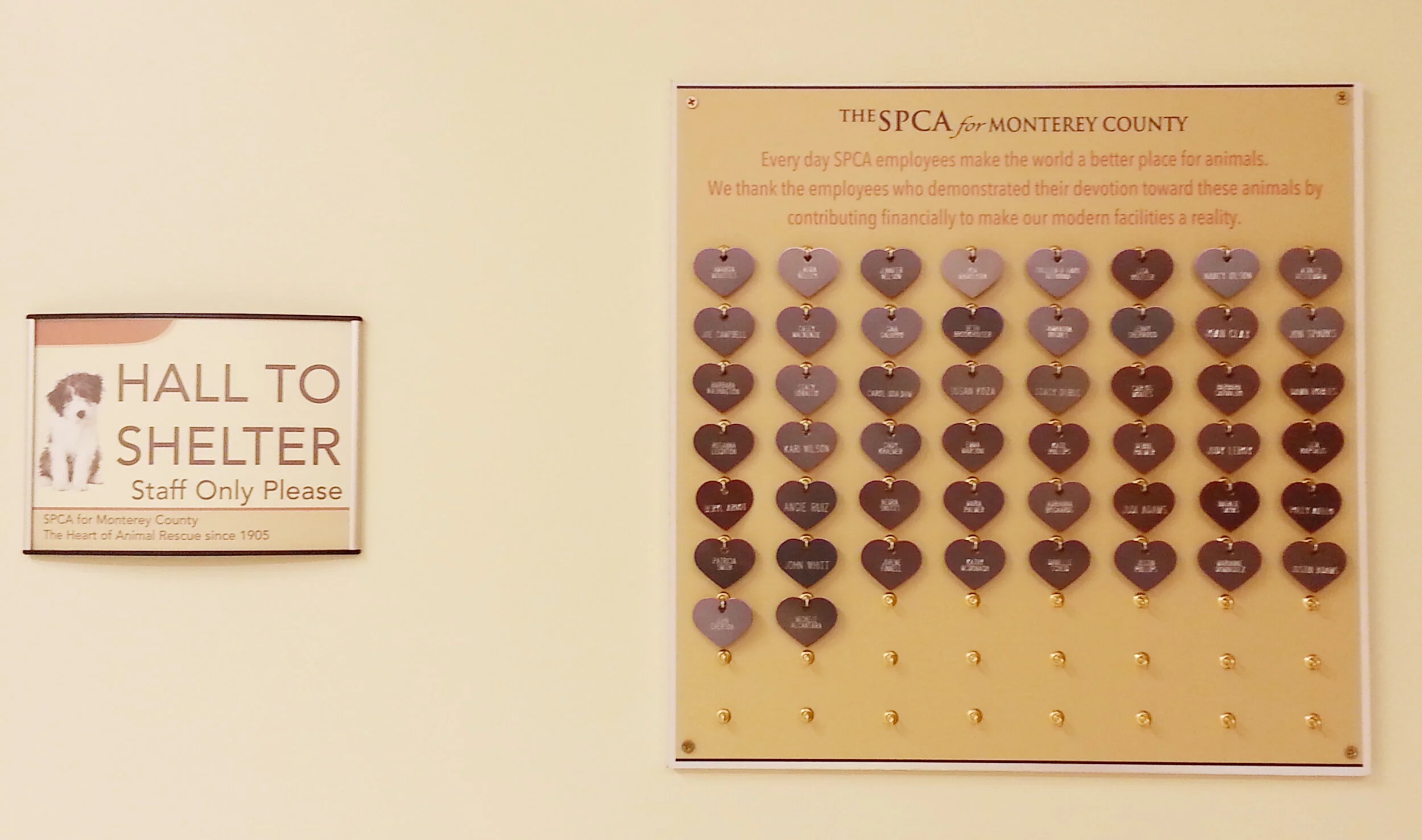 SPCA employee tag recognition.jpg