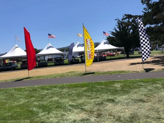 Mecum flutters2019.jpg