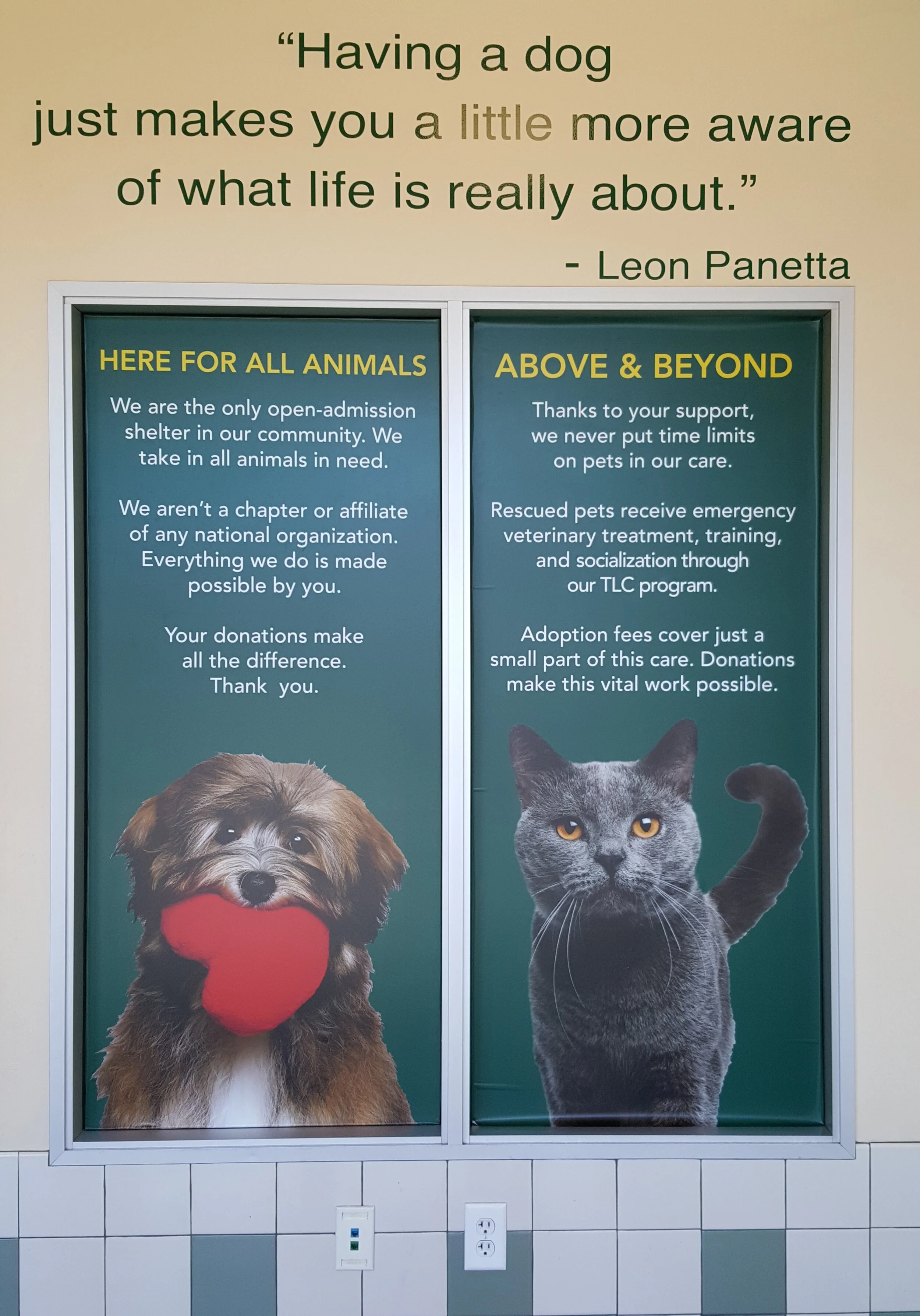 SPCA condo windows.jpg
