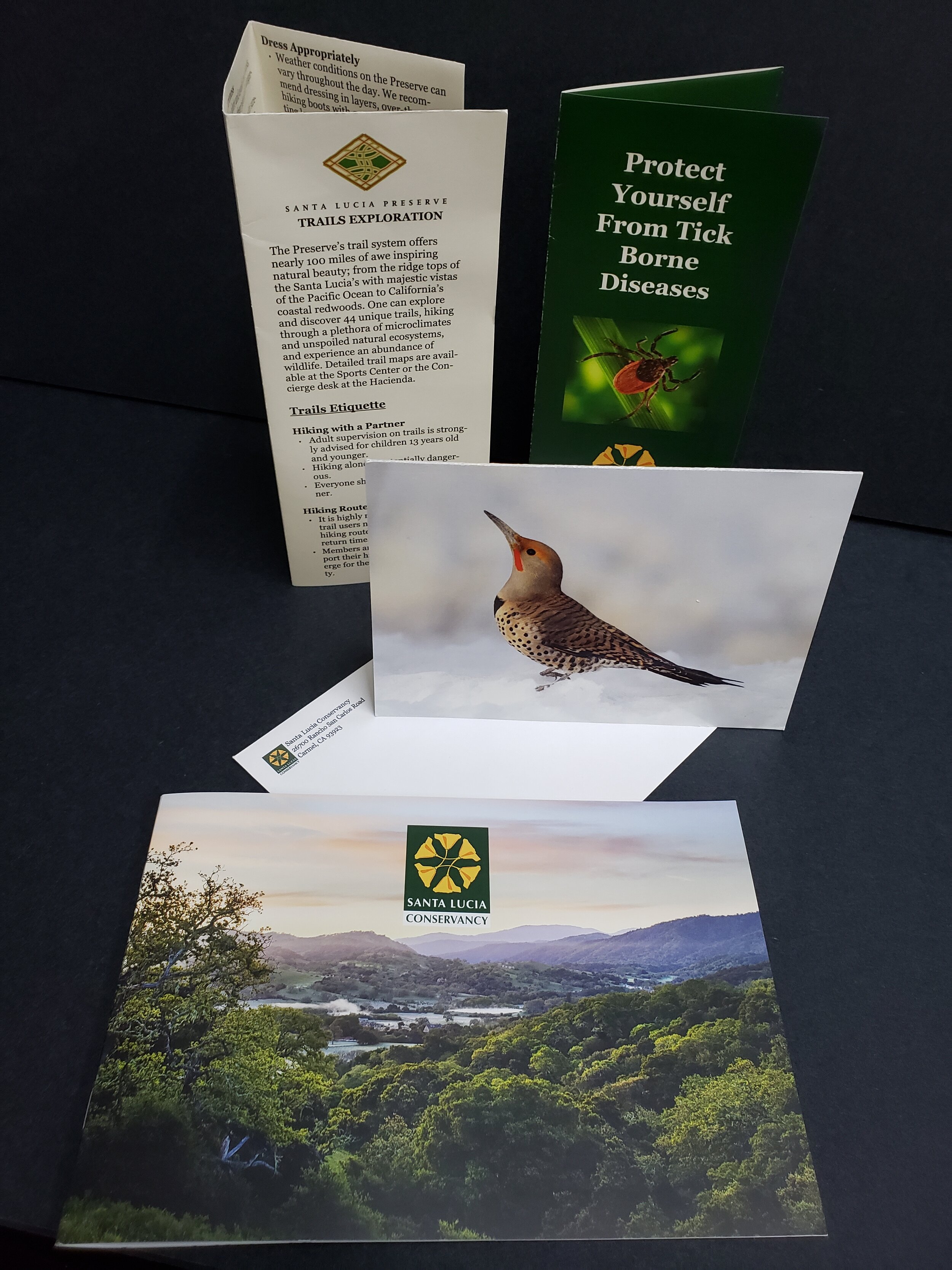 SLC_booklet_brochures.jpg