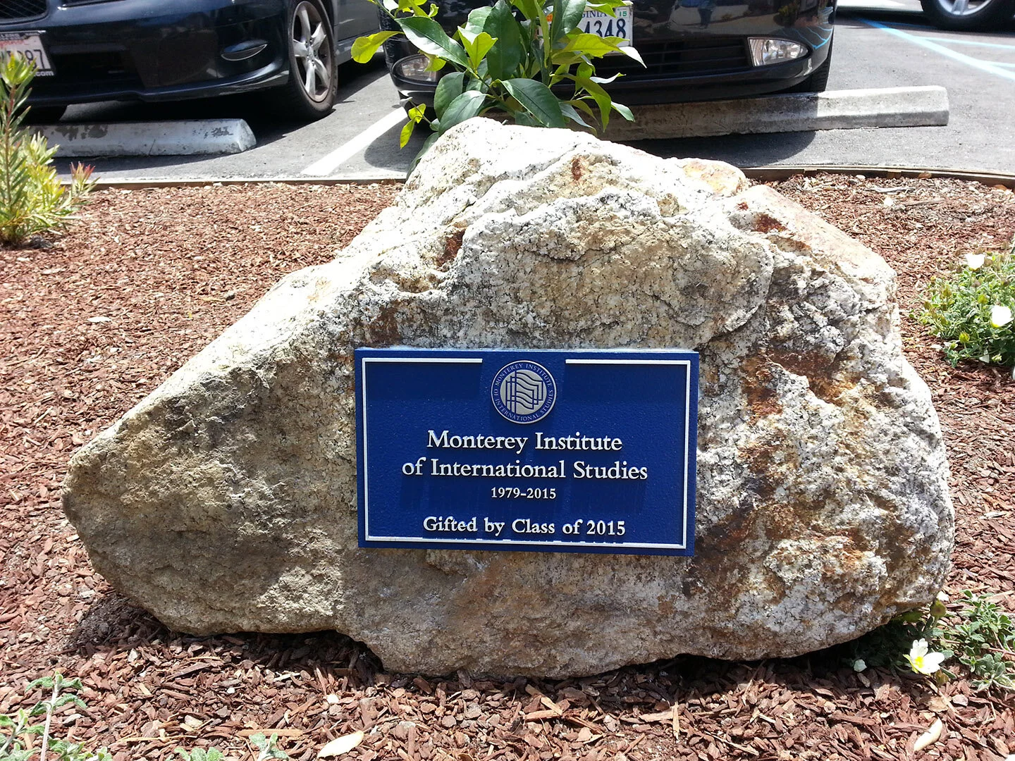 MIISM_Gifted Plaque_ rock.jpg