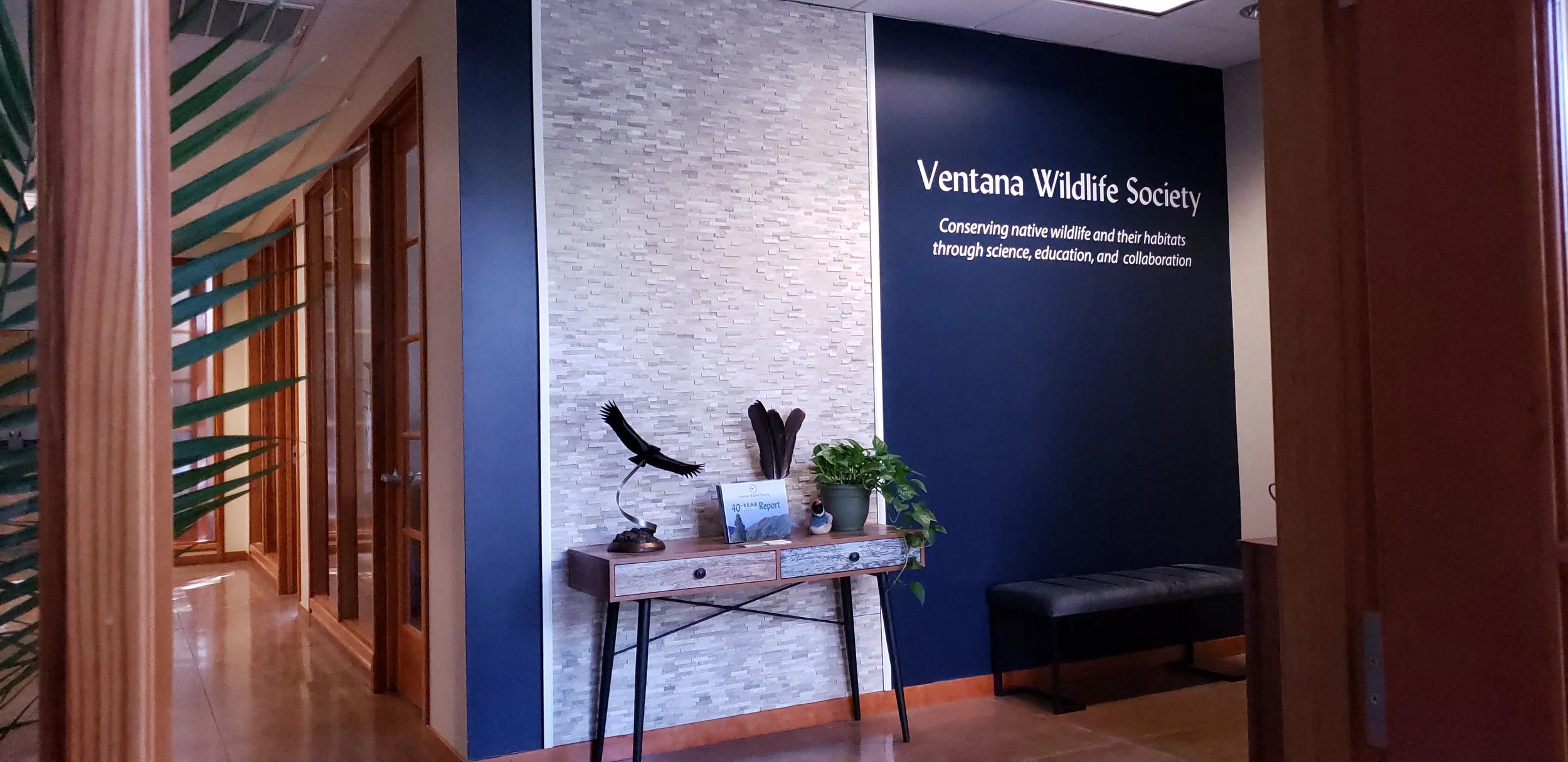 Ventana Wildlife Lobby.jpg