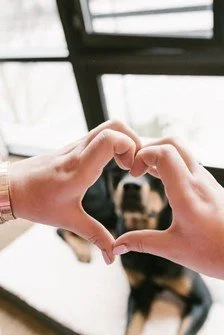 Heart Center of Intelligence Part 1