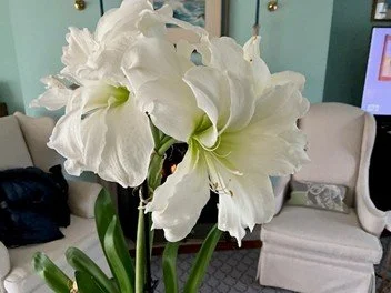 Falling in Love Part 7