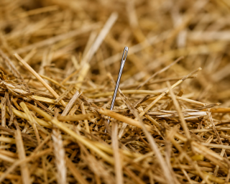 Needle in a Haystack Part 2