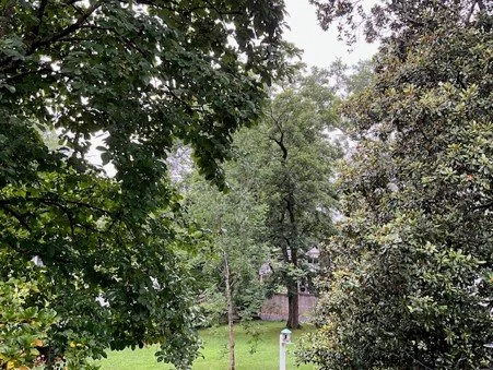 Trees Part 5