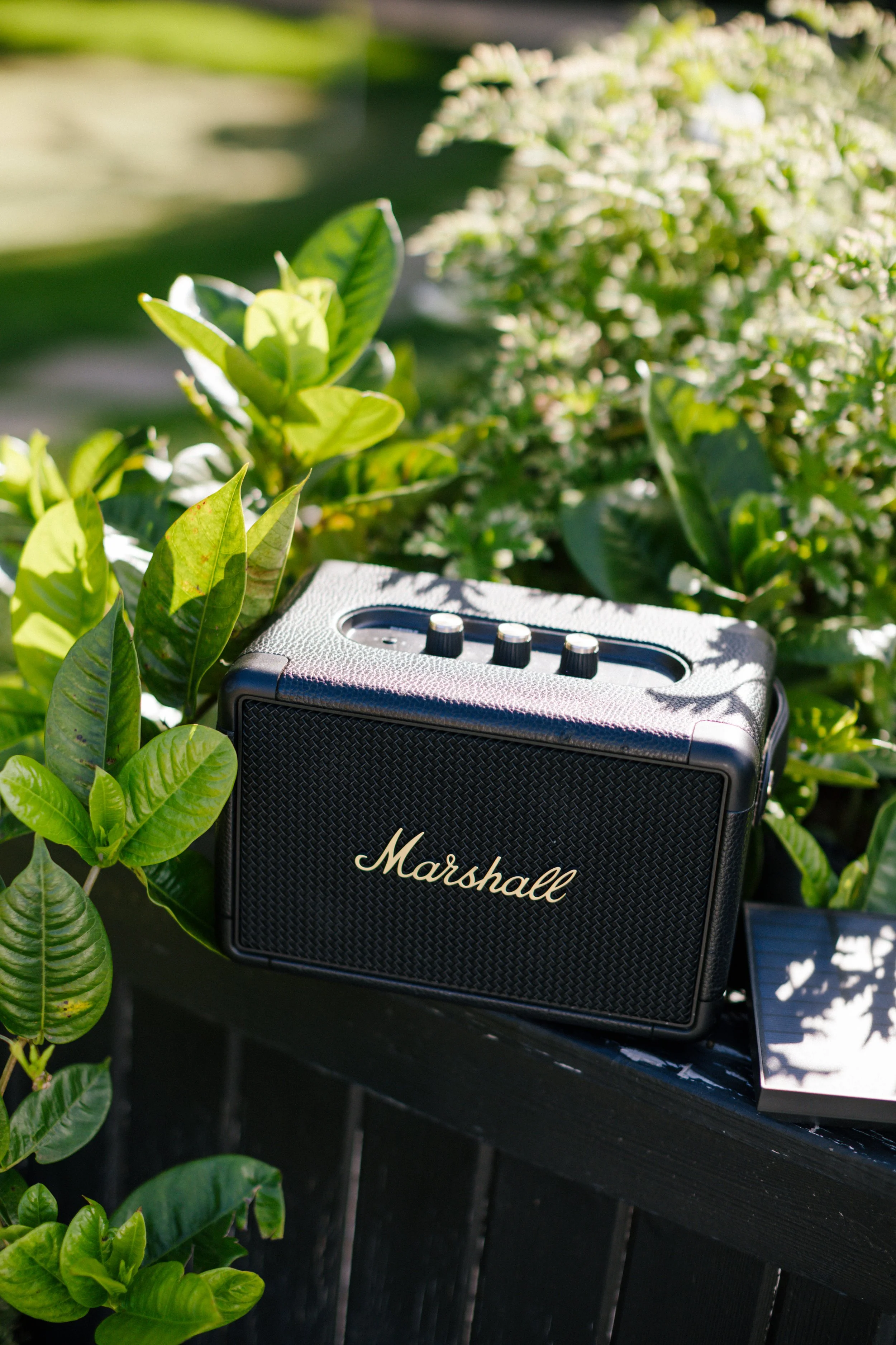 Dani's Birthday Weekend-074.jpg