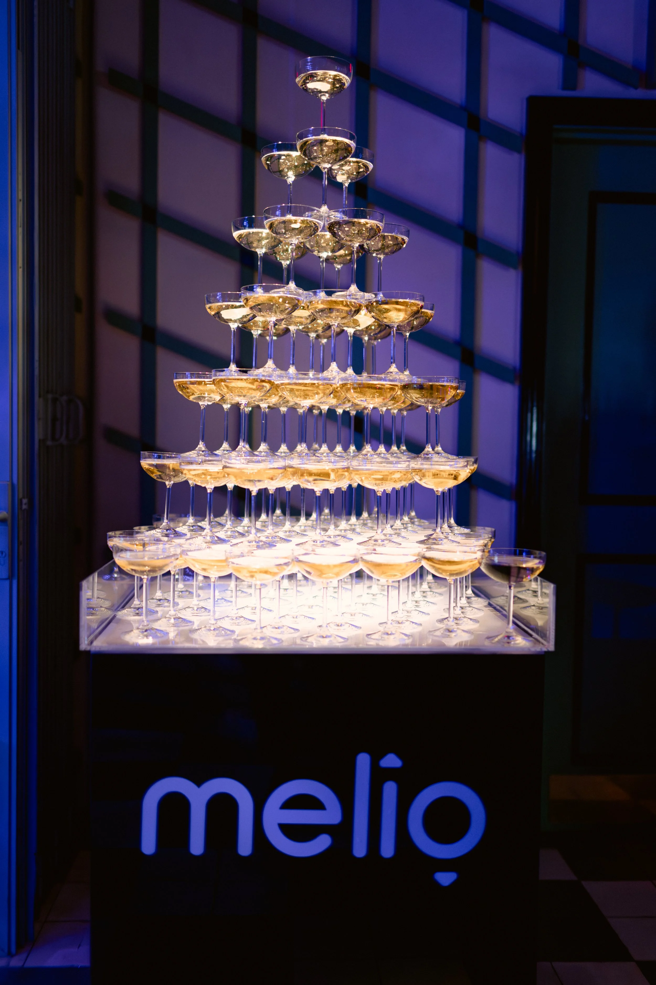 Melio Hard Launch-006.jpg