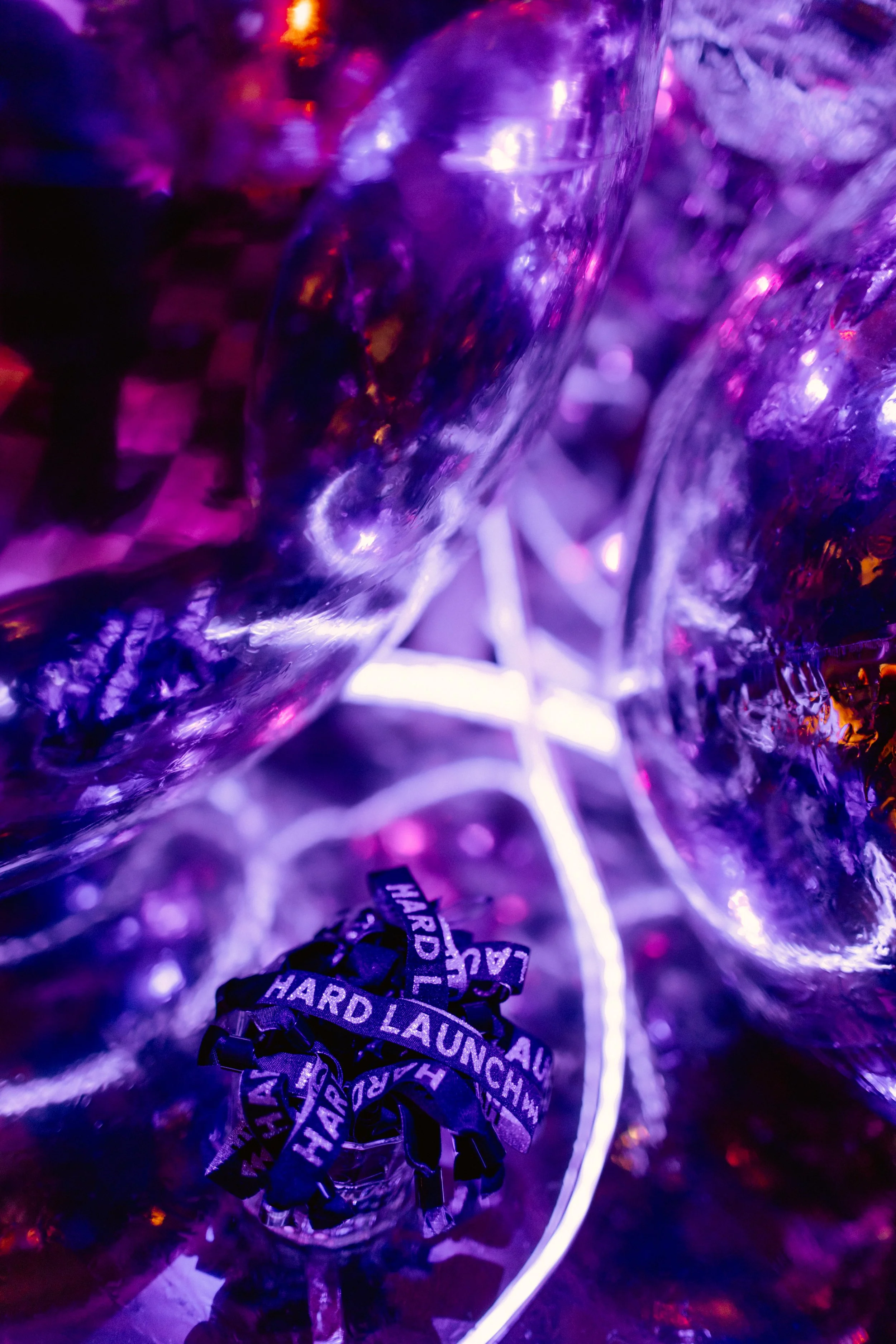 Melio Hard Launch-021.jpg