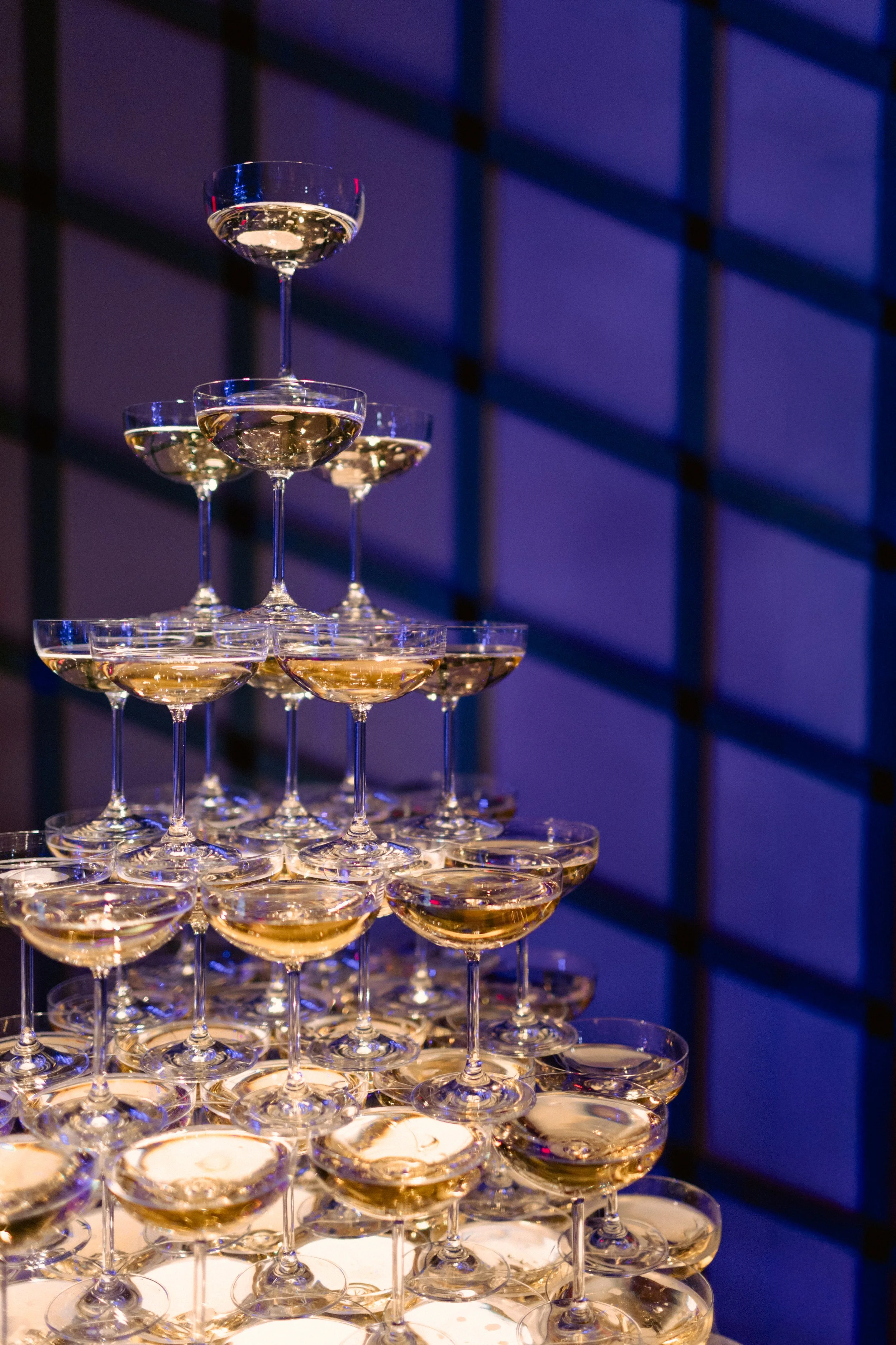 Melio Hard Launch-008.jpg