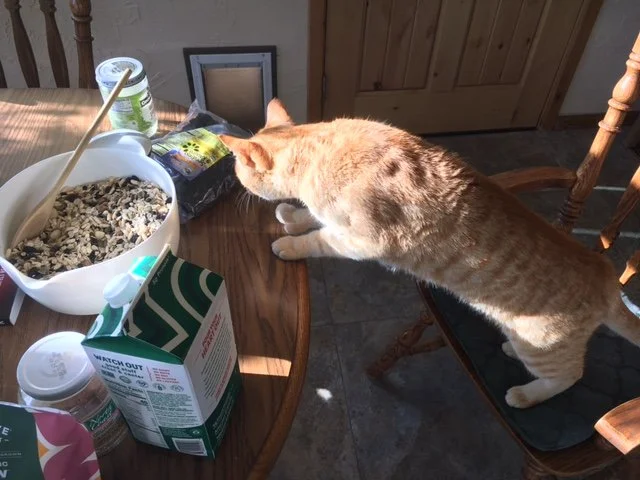 Making Healthy Muesli