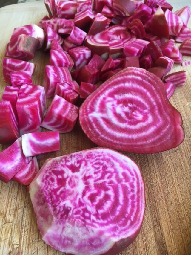 The Seasons Change &amp; Following These Cycles to Restorative Health