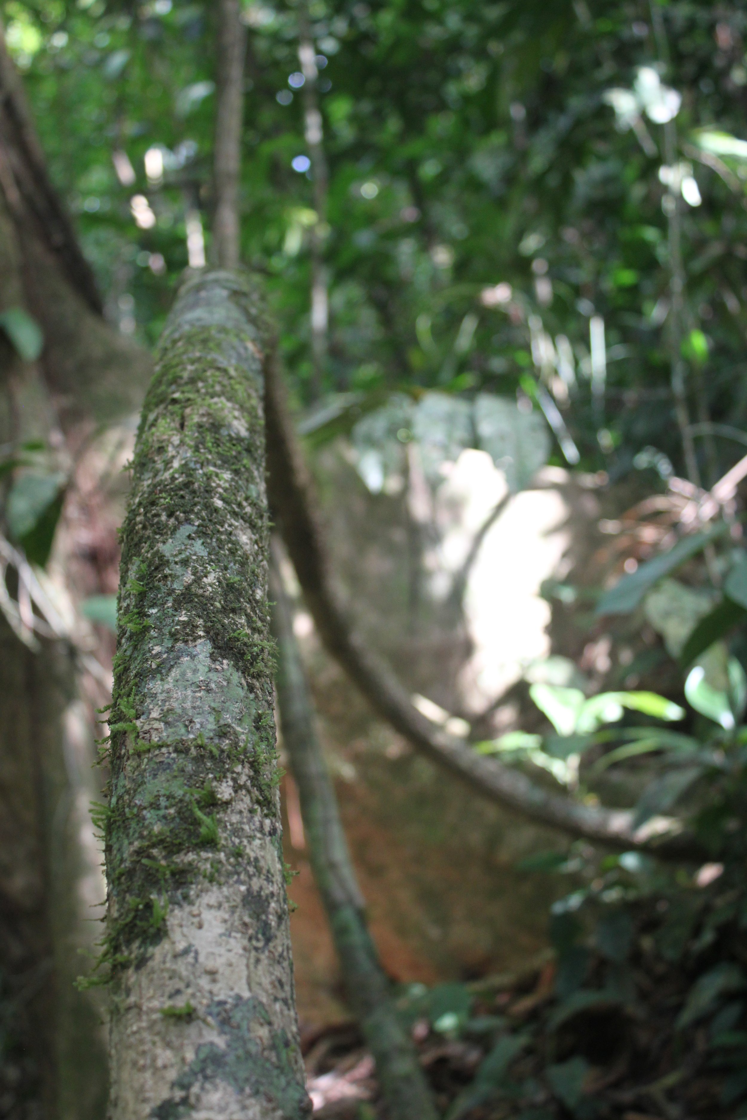 Life Has Set Me Up for This