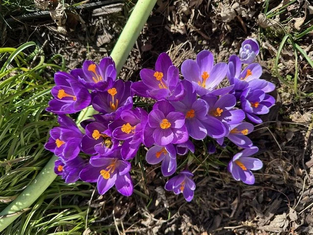 Are You Ready to Get a Spring Back in Your Step?