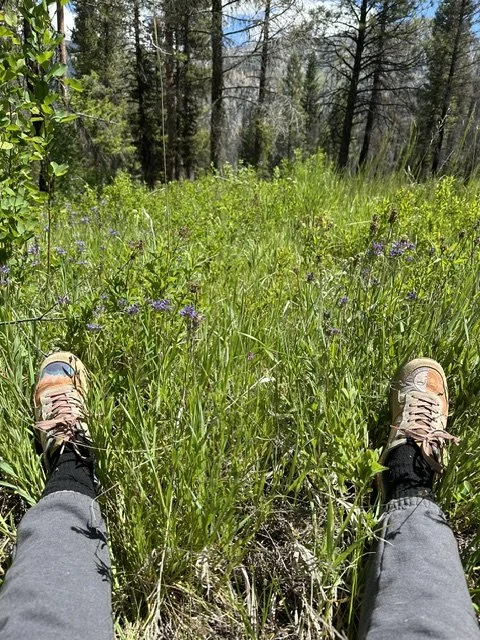 In Rhythm With the Wild