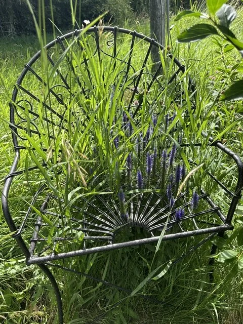 What Are You Picking in the Garden of Your Mind?