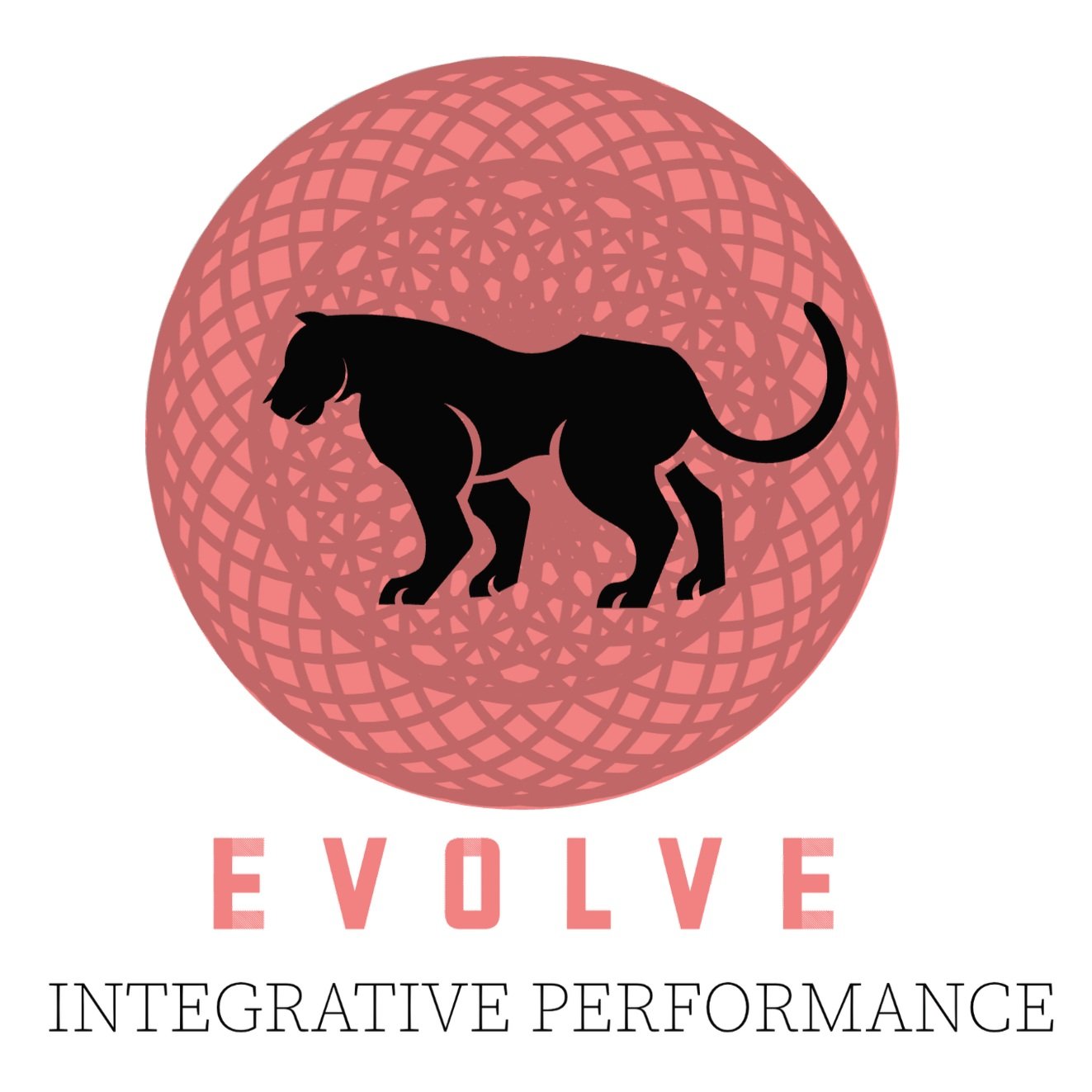 Evolve Integrative Performance