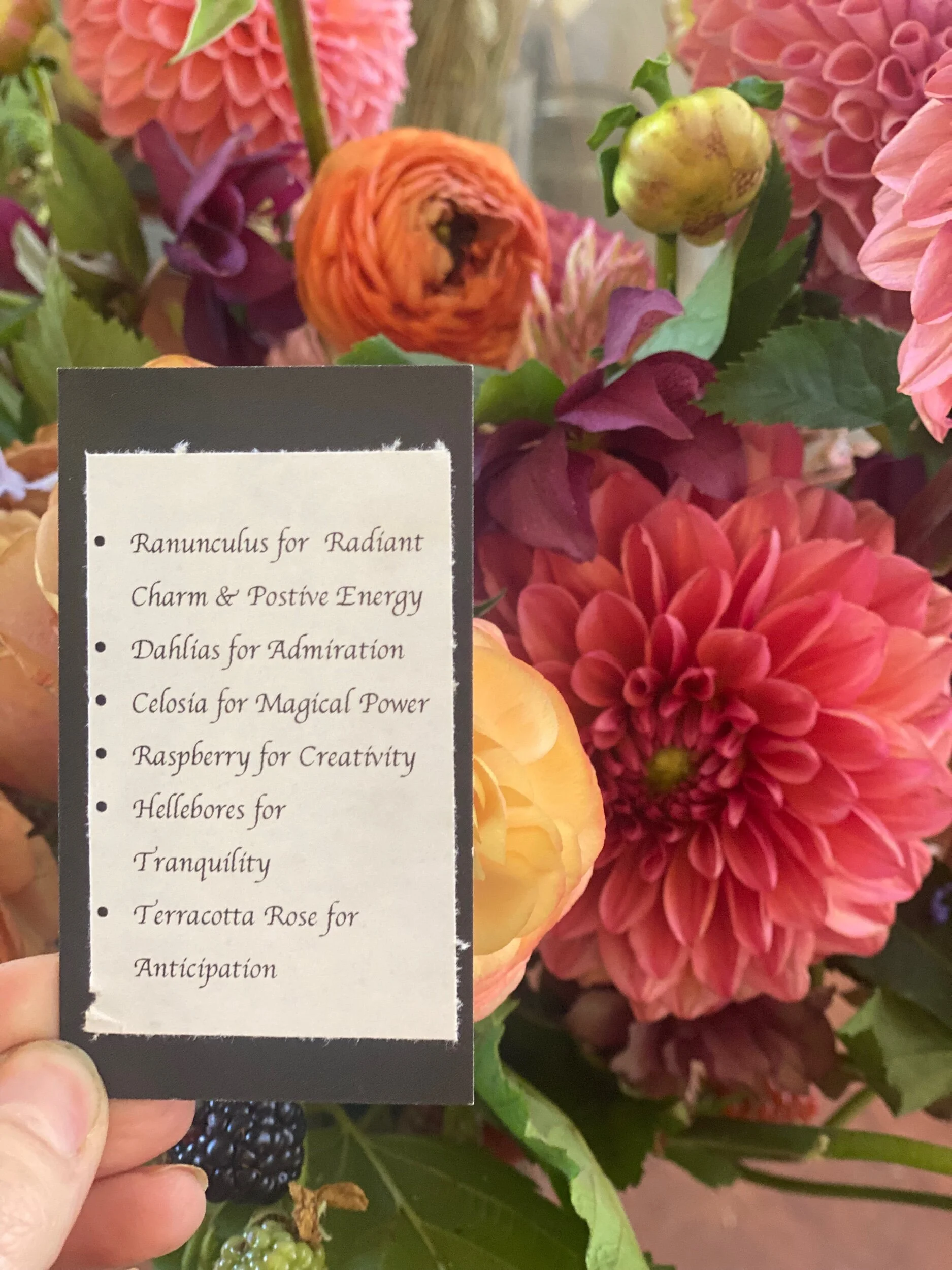 782BFBB0-C809-469E-A101-CAB53B1E1CD1