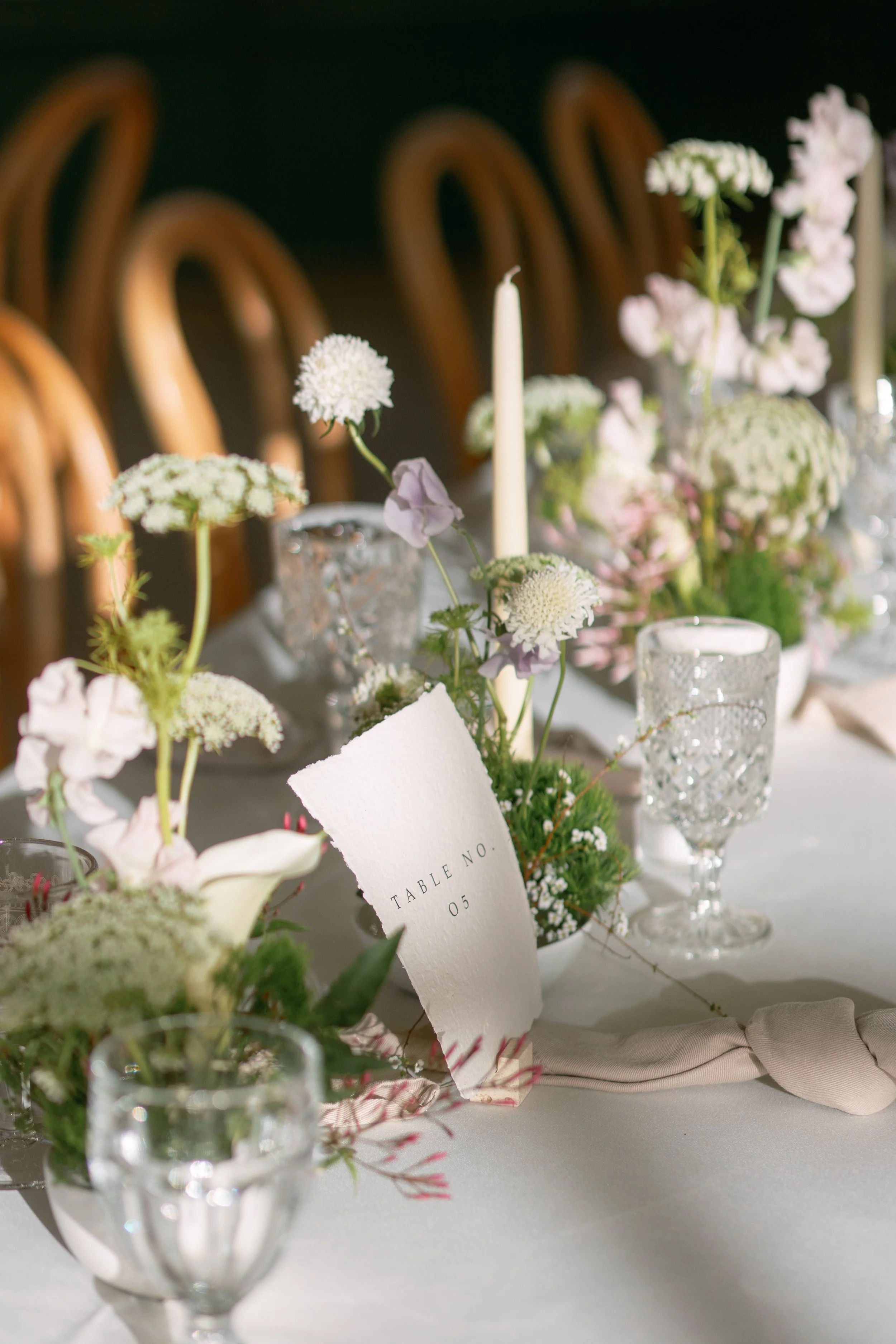 Anna Delores Photography_Sierra & Louie 03.22.25-645.jpg