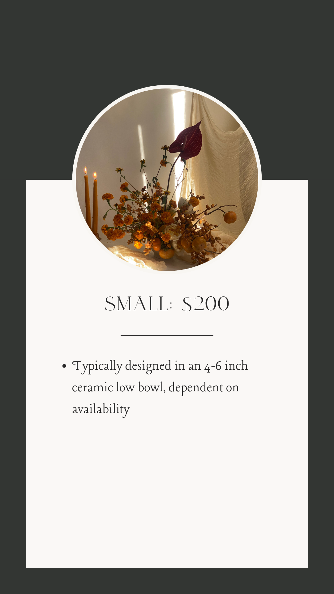 Website Sizing-2.png