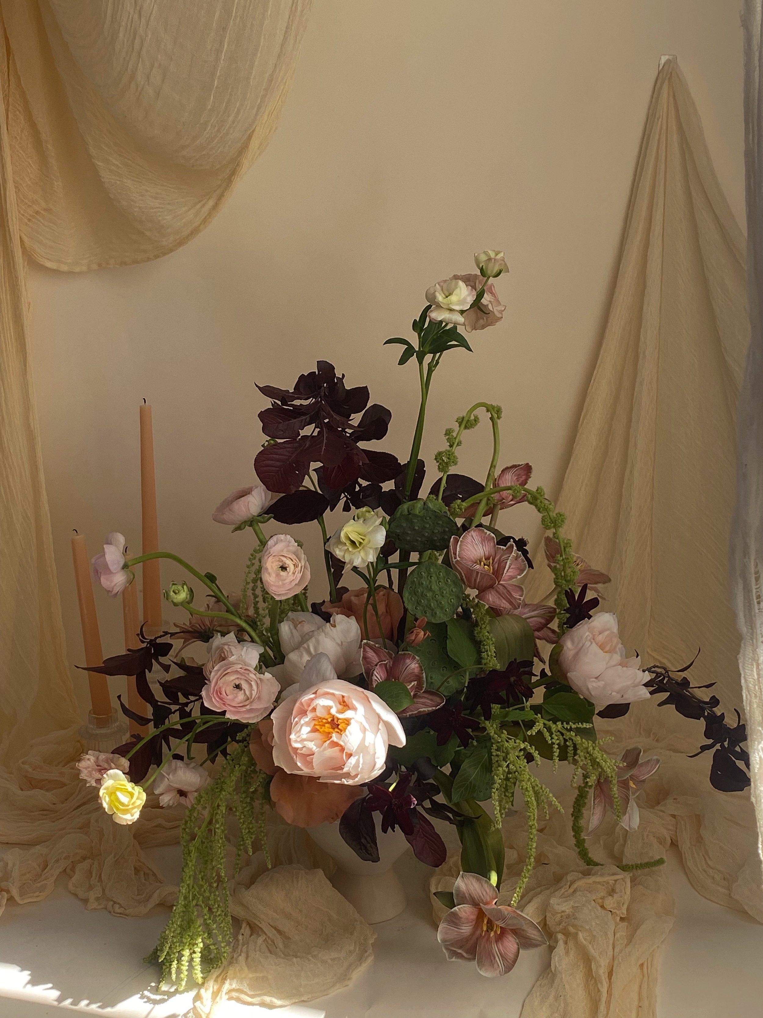 ACS_11139.jpg