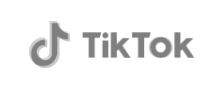 Tik Tok gray logo